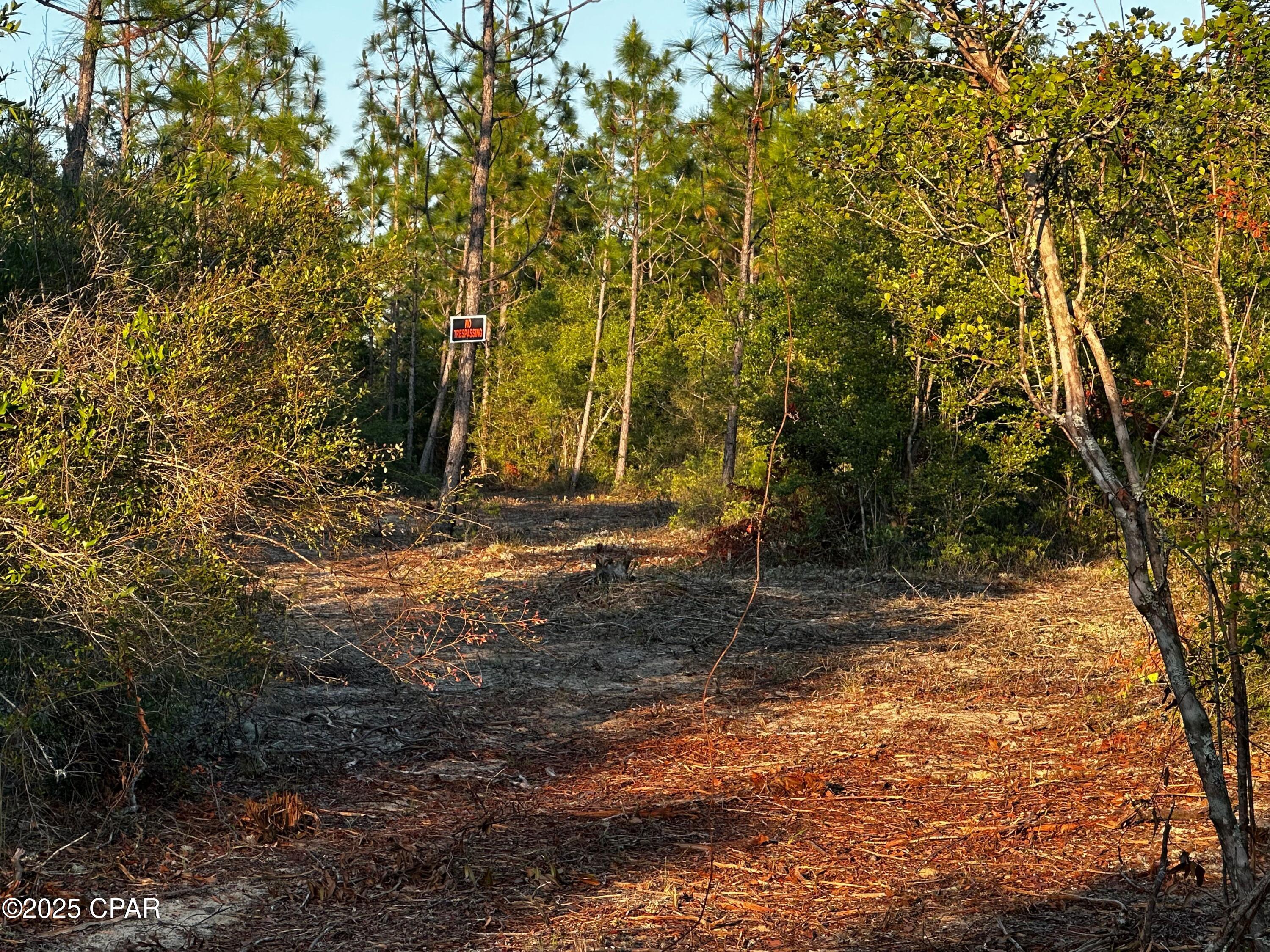 N North Silver Lake Road, Fountain, Florida image 9