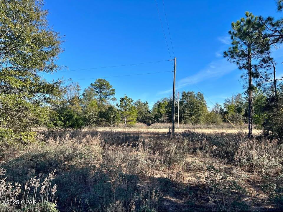 Cardinal Avenue #LOT 16, Marianna, Florida image 2