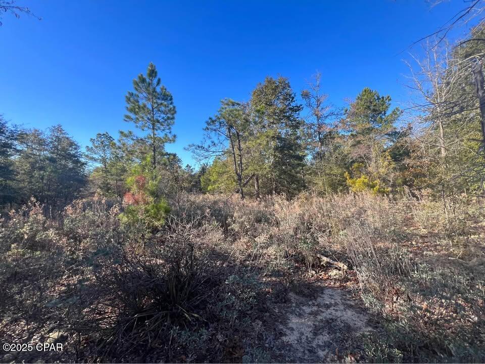 Cardinal Avenue #LOT 16, Marianna, Florida image 4