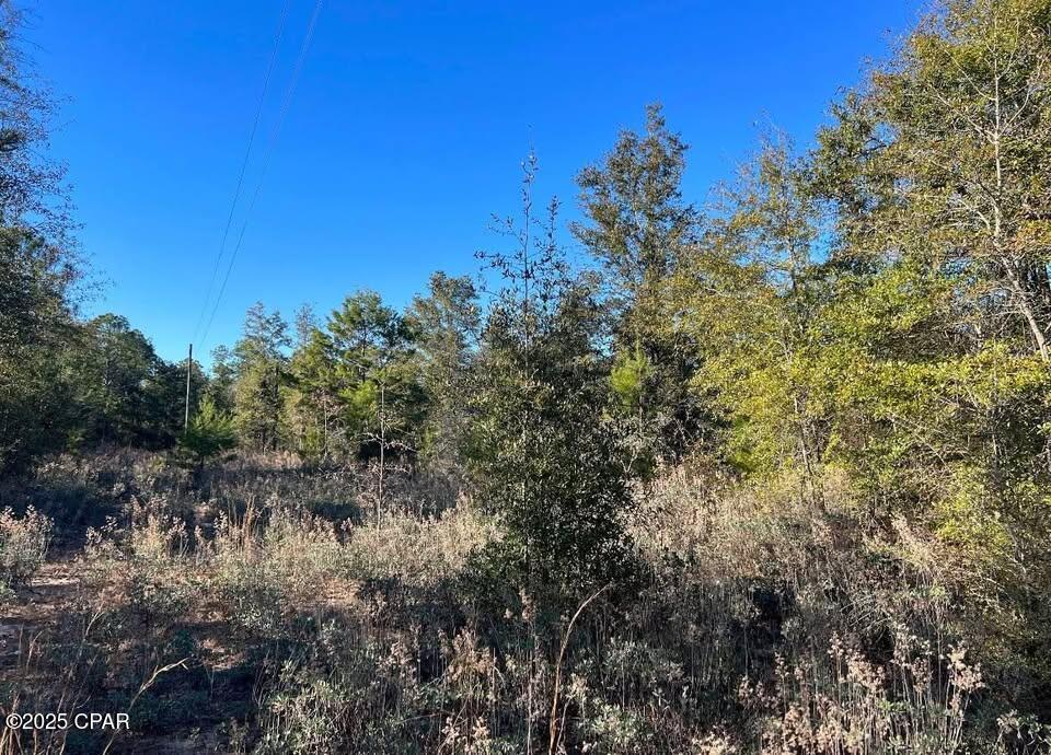 Cardinal Avenue #LOT 16, Marianna, Florida image 5