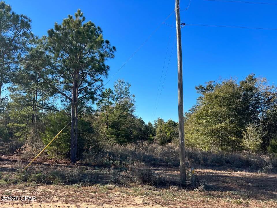 Cardinal Avenue #LOT 16, Marianna, Florida image 6