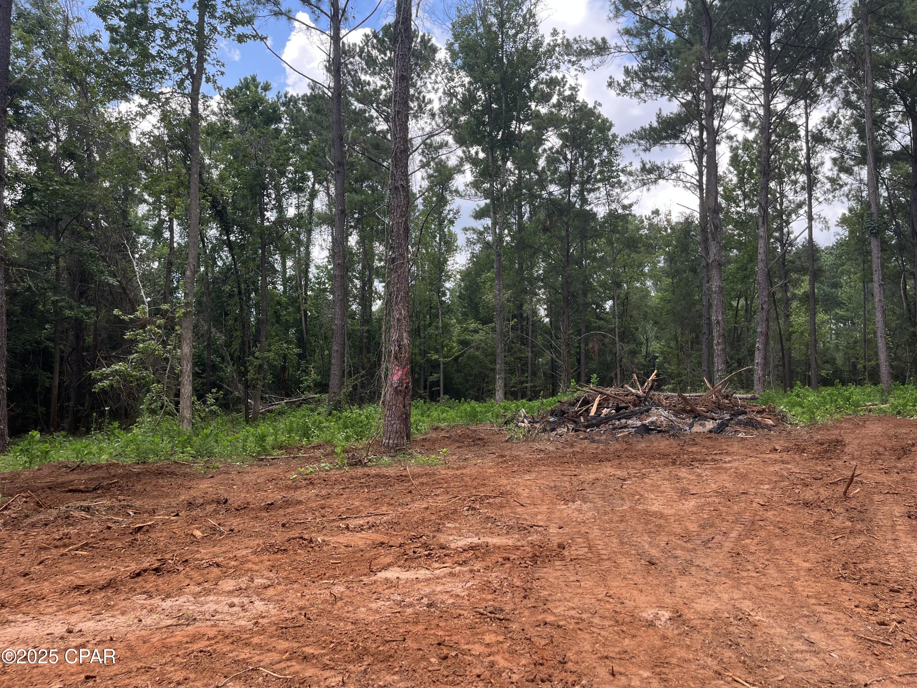 2852 Lovewood Drive, Cottondale, Florida image 2
