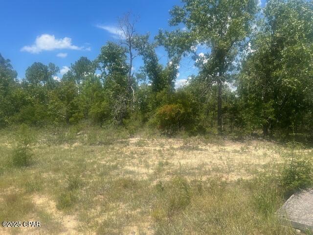 TBD Cachet Court #9, Chipley, Florida image 3