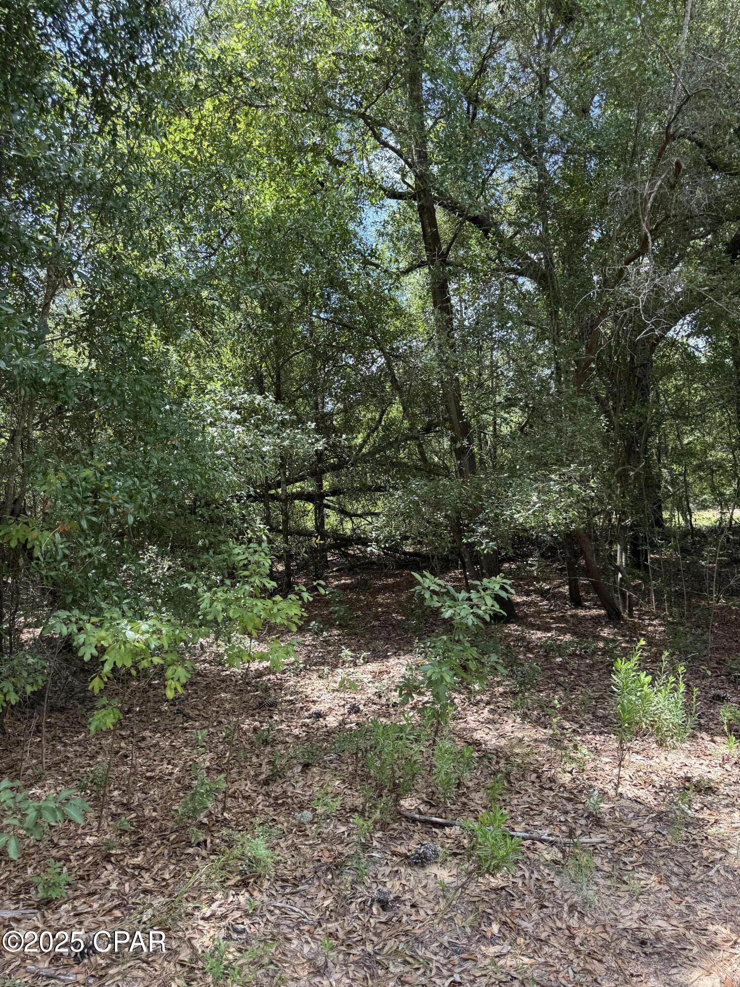 248 Ball Park Road, Alford, Florida image 36
