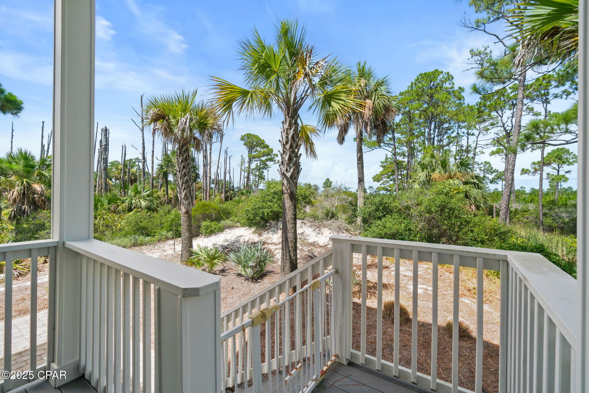 225 Cord Grass Way, Port St Joe, Florida image 40