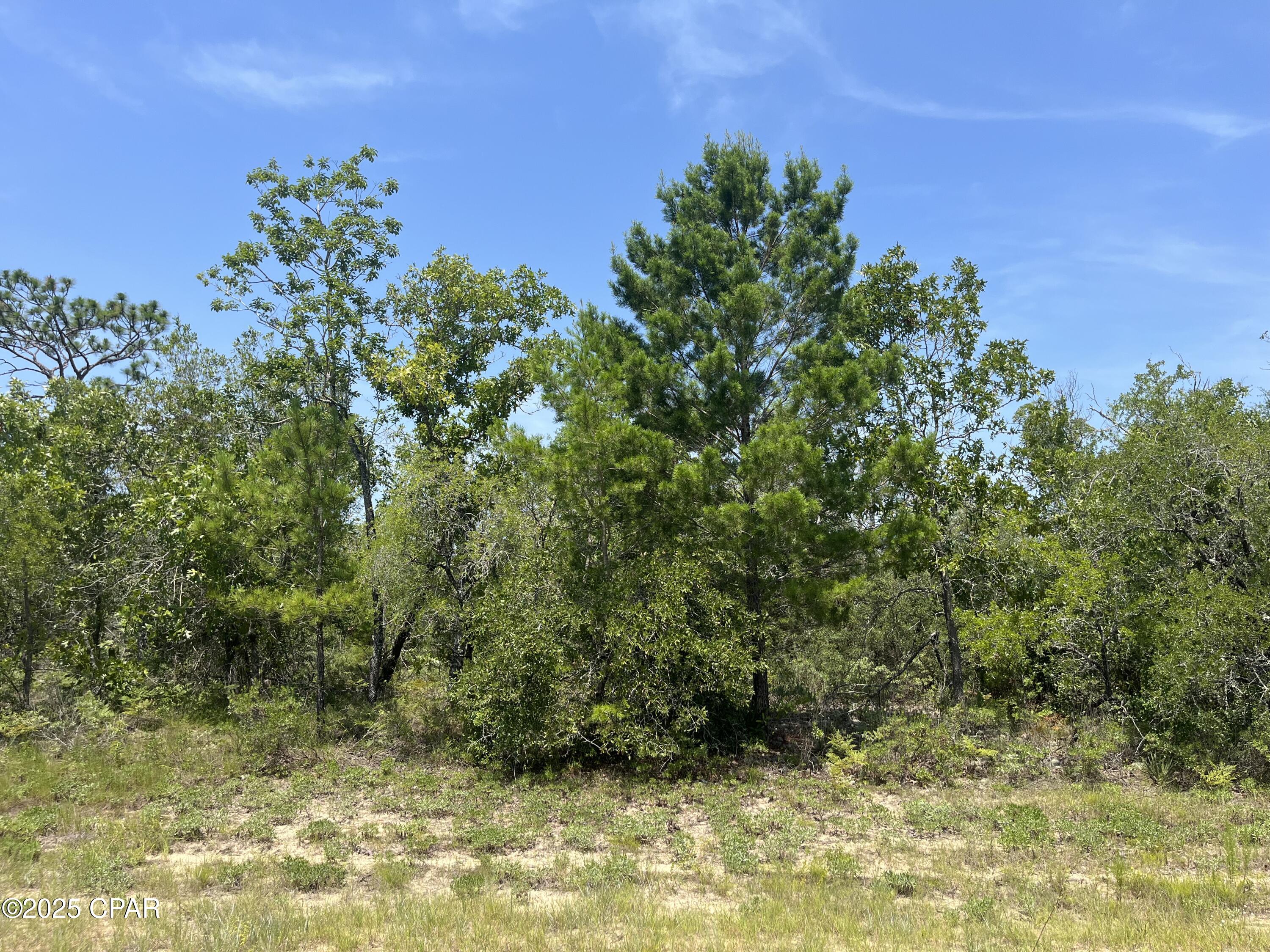 Sylvia Drive, Chipley, Florida image 2