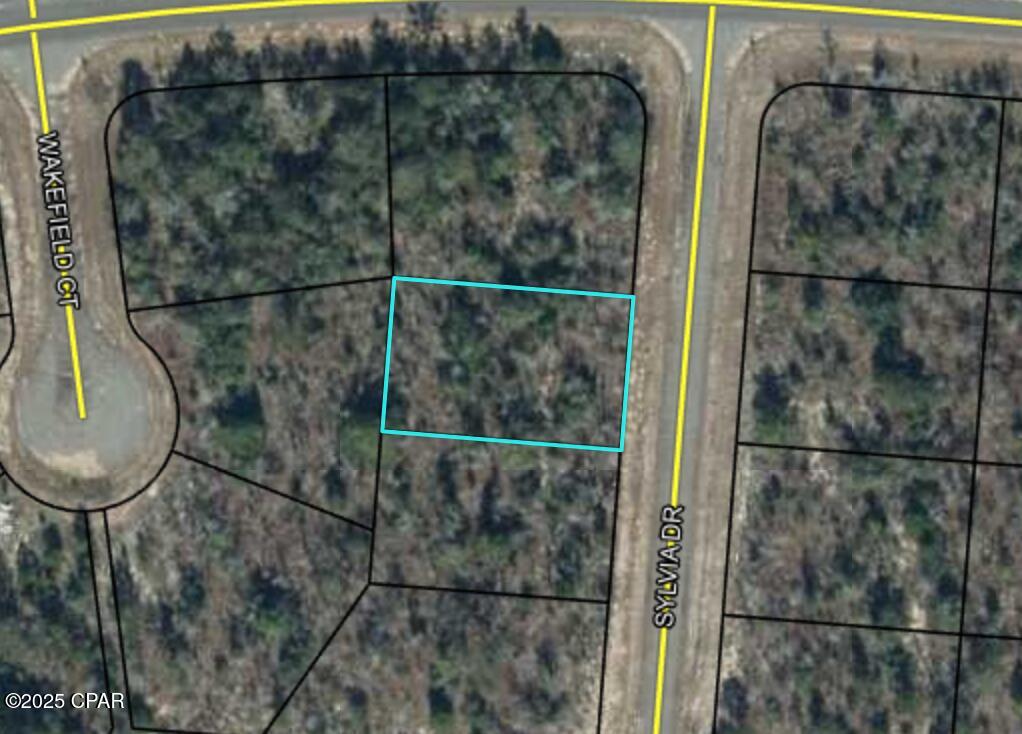 Sylvia Drive, Chipley, Florida image 4