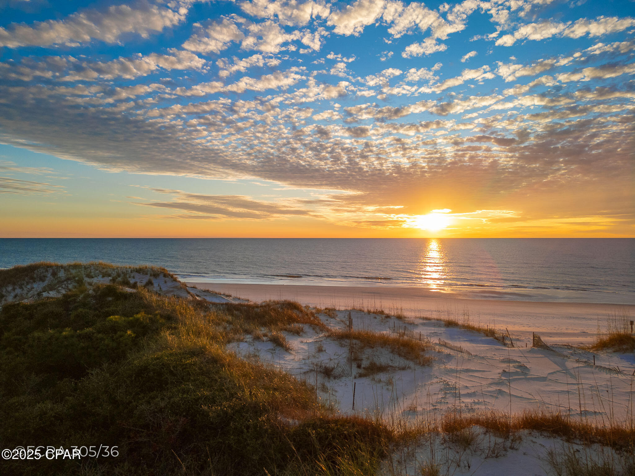 121 Gulf Hibiscus Drive, Cape San Blas, Florida image 29