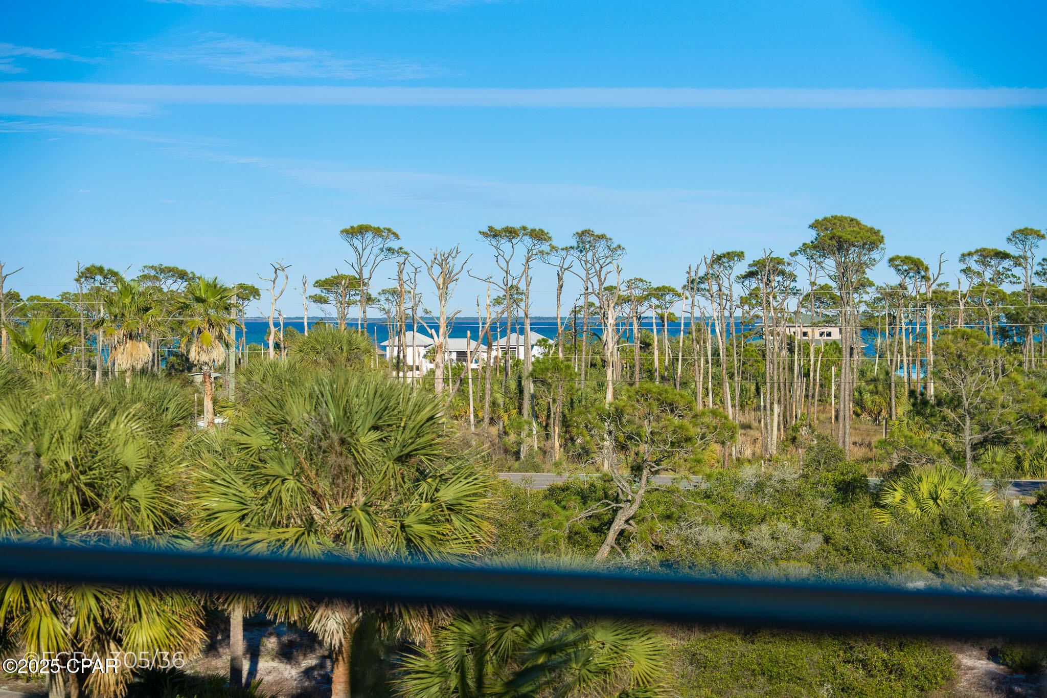 121 Gulf Hibiscus Drive, Cape San Blas, Florida image 34