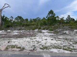 110 Hemmingway Circle, Port St Joe, Florida image 3