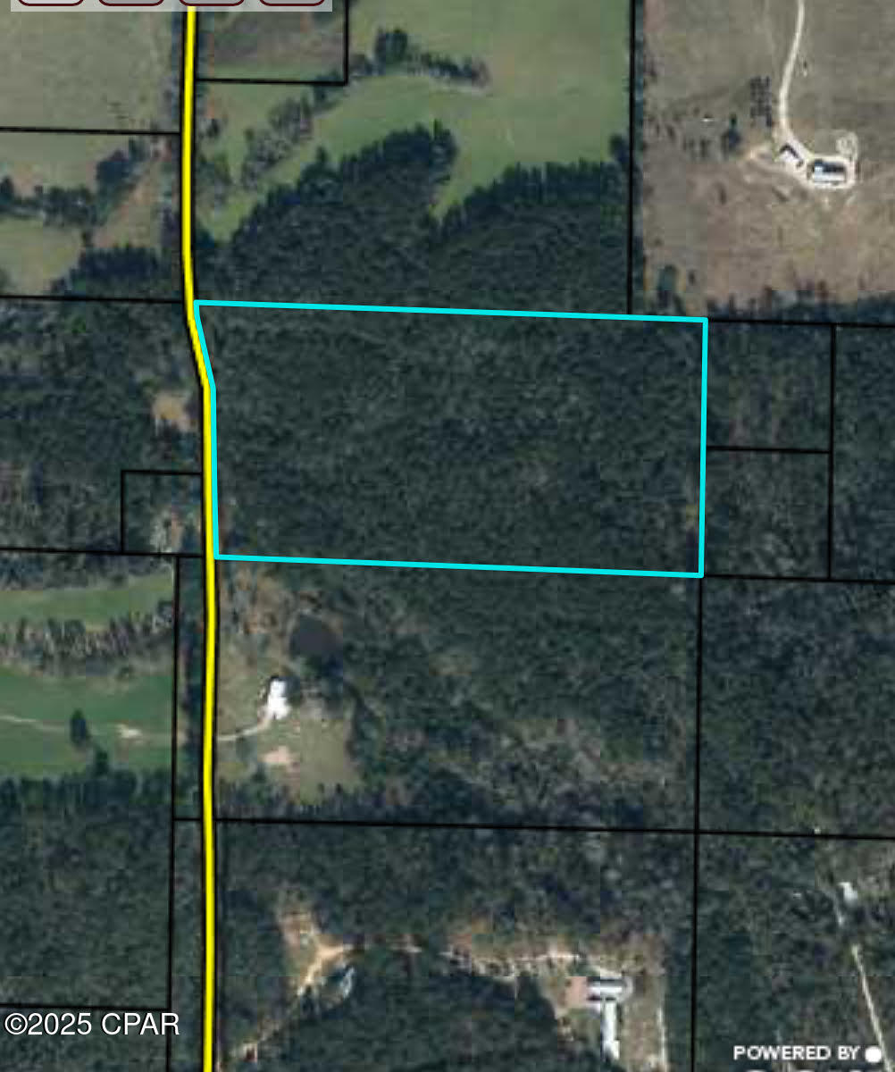 TBD Ambus Lane, Chipley, Florida image 1