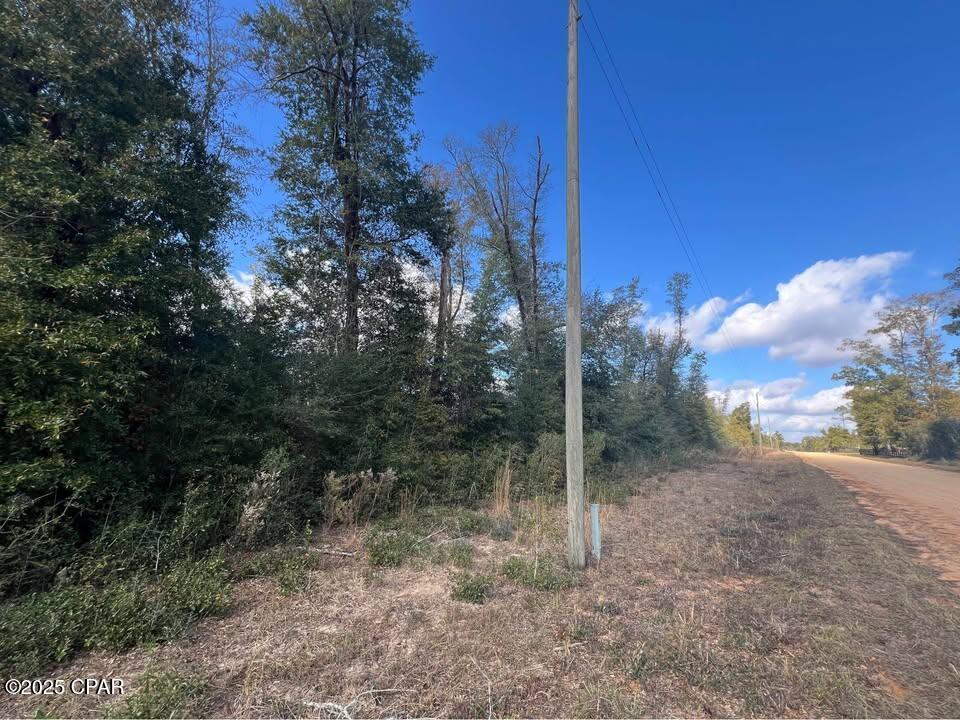 Kokomo Avenue, Alford, Florida image 1