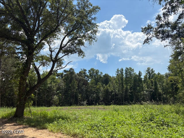 Details for 0 Bonnet Pond Road, Cottondale, FL 32431