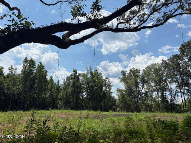 Bonnet Pond Road, Cottondale, Florida image 10