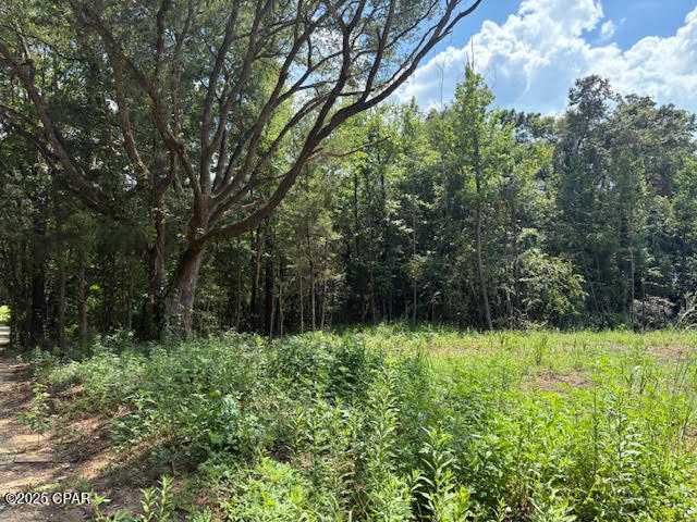 Bonnet Pond Road, Cottondale, Florida image 11