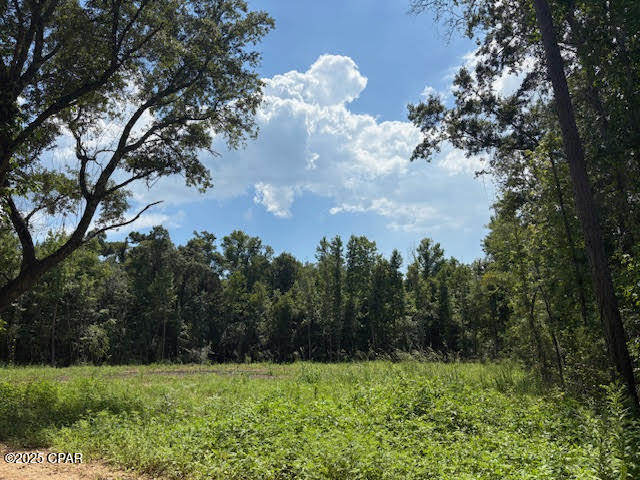 Bonnet Pond Road, Cottondale, Florida image 7