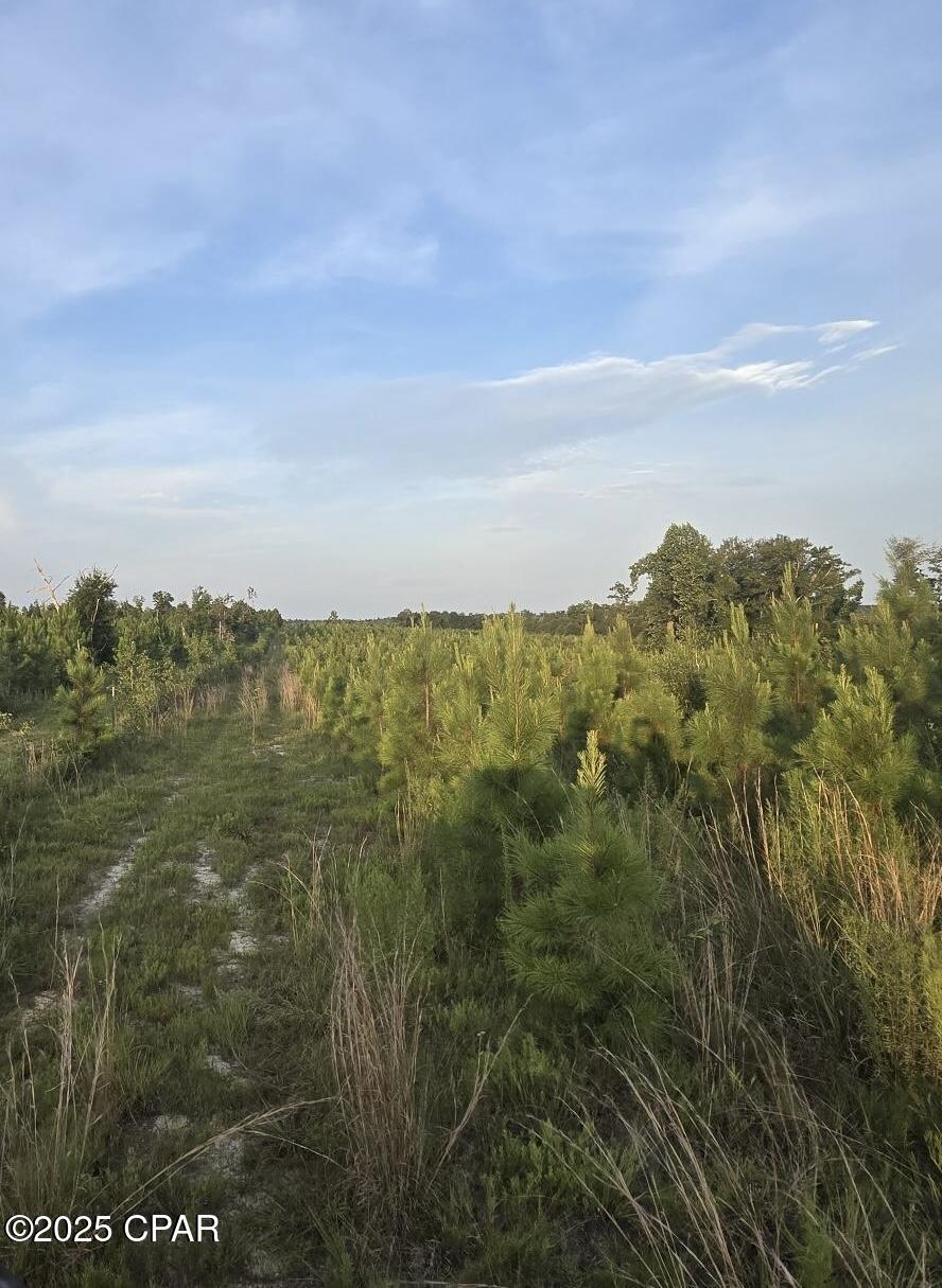 Details for 0 Bartlett Road, Marianna, FL 32448