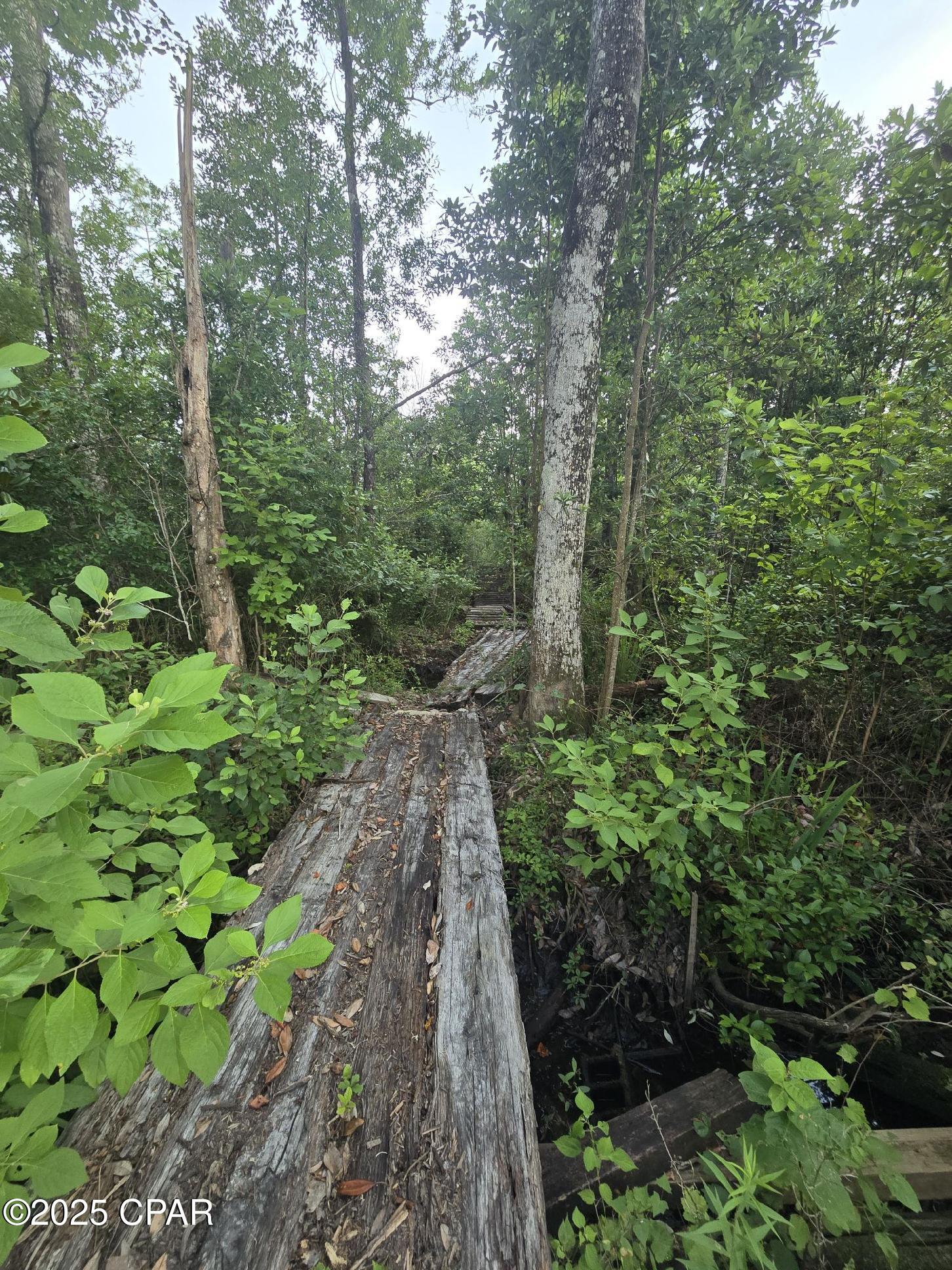 Bartlett Road, Marianna, Florida image 5