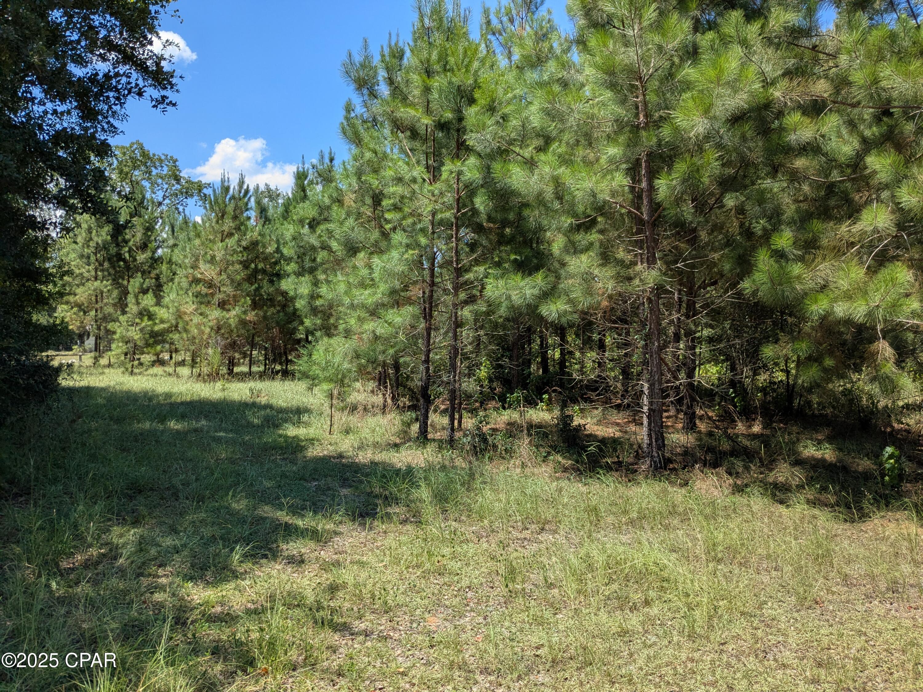 Carters Mill Road, Marianna, Florida image 1