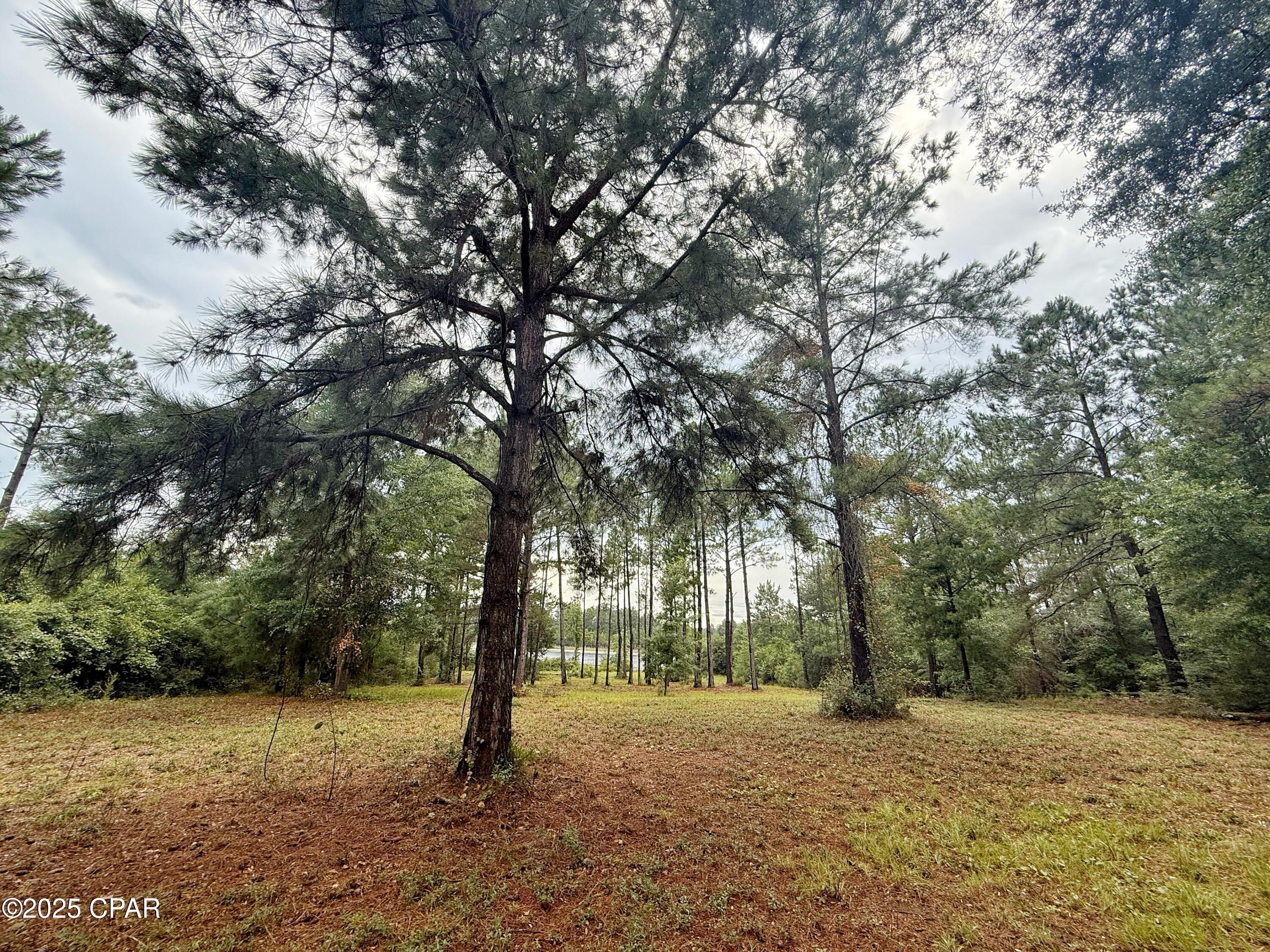 Image 10 For 00 Mcpherson Drive