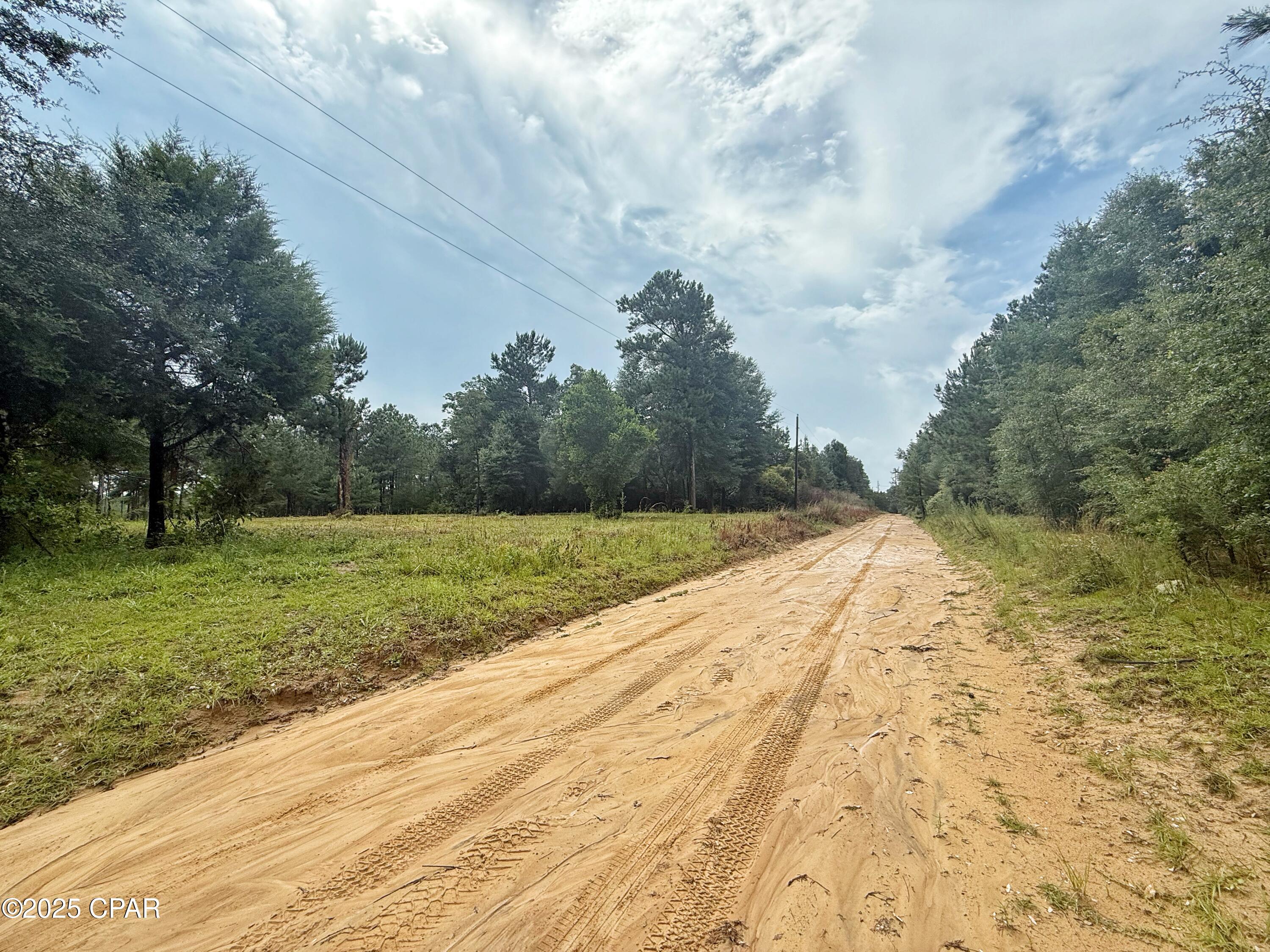 00 Mcpherson Drive, Alford, Florida image 11