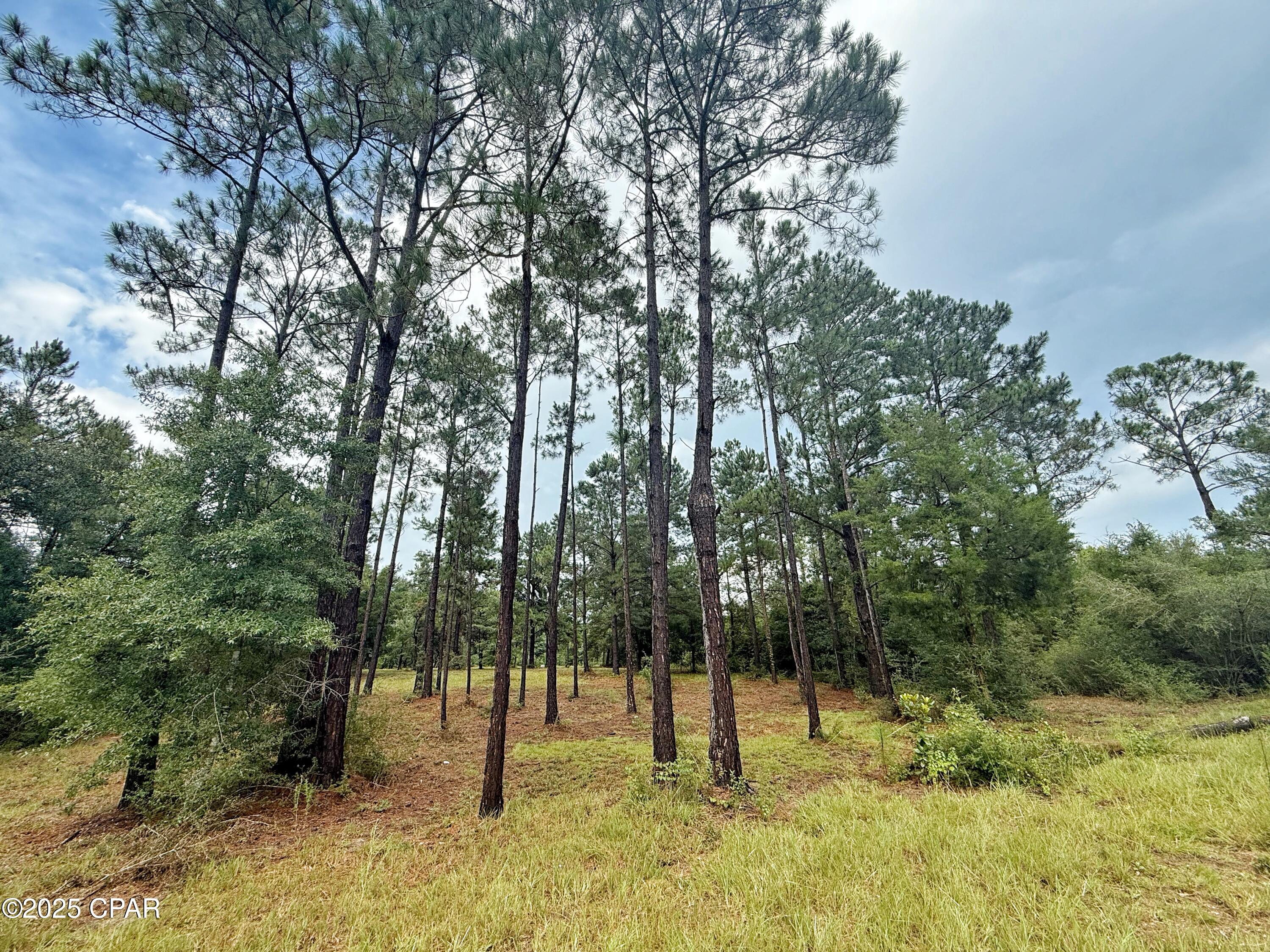 00 Mcpherson Drive, Alford, Florida image 13