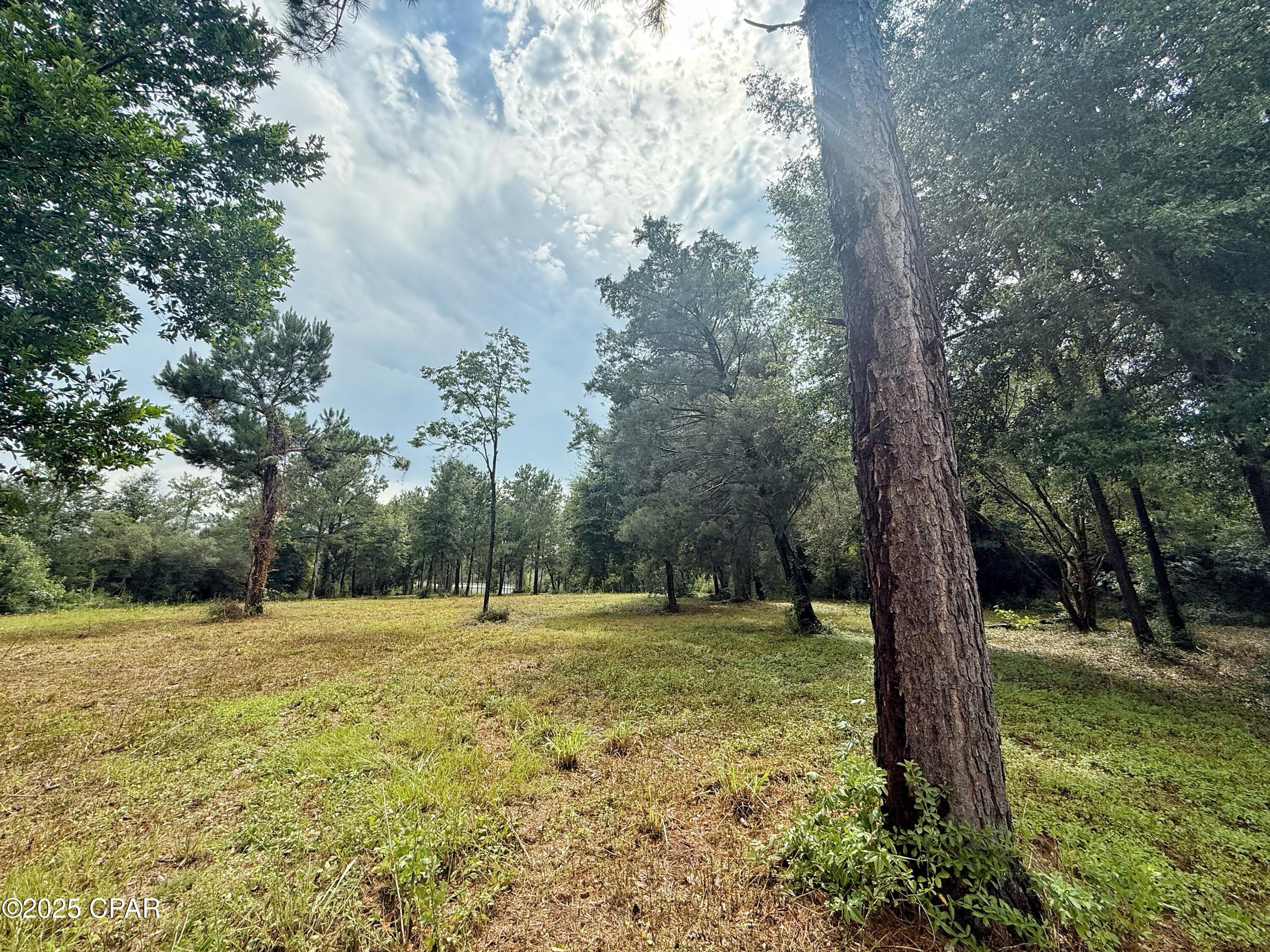 00 Mcpherson Drive, Alford, Florida image 5