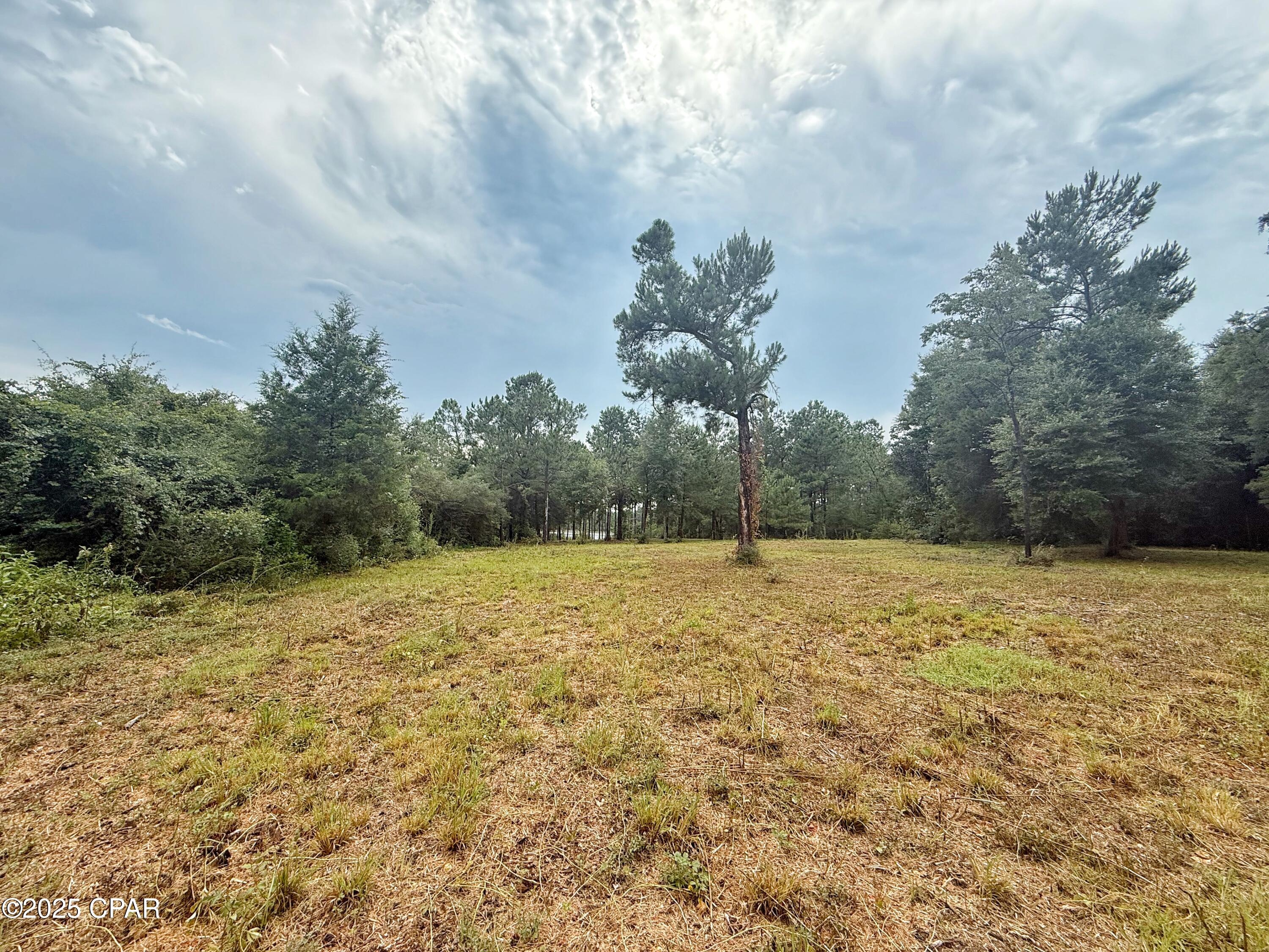 Image 9 For 00 Mcpherson Drive