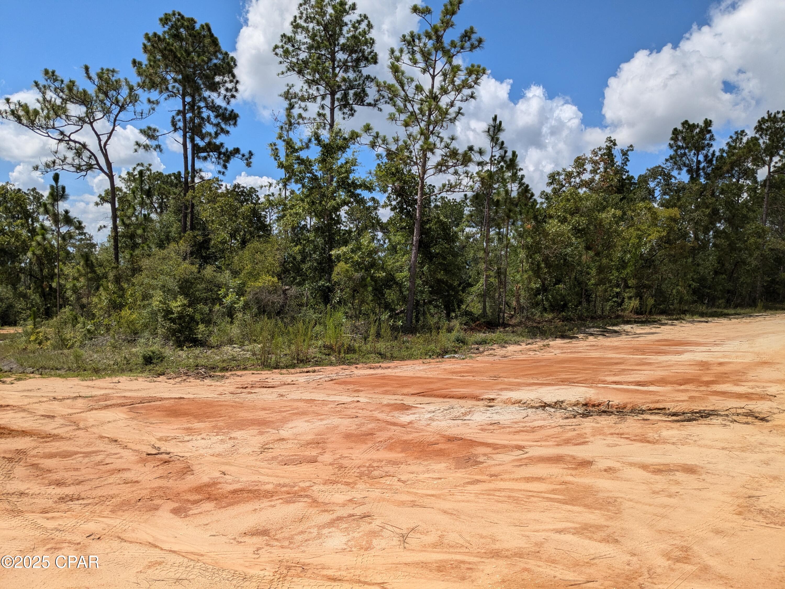 Listing Details for 0 Castle Cr Circle, Alford, FL 32420