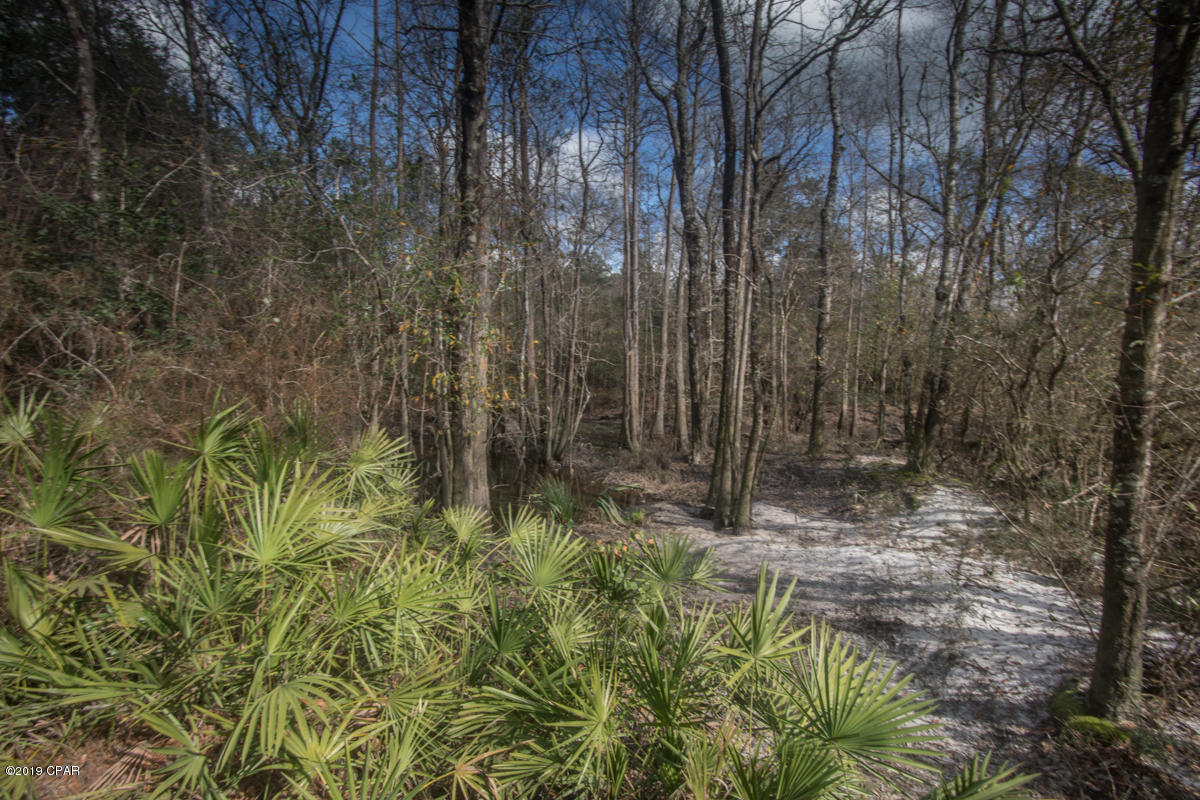 Image 69 For 805 Engles Road