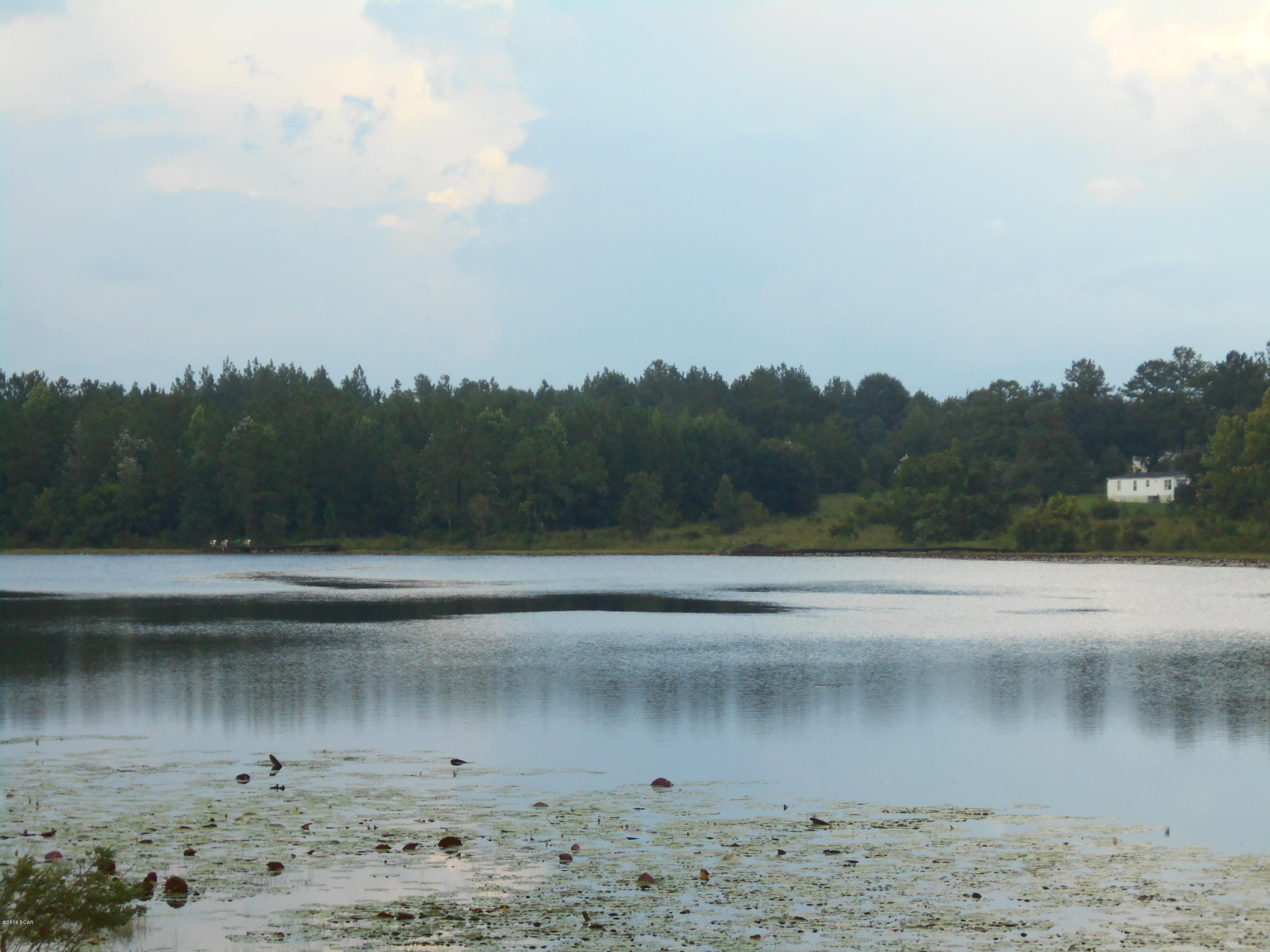Drury Lane, Alford, Florida image 2