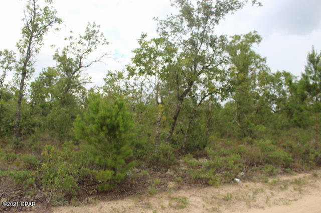 Photo of 3779 Foxhunt Chipley FL 32428