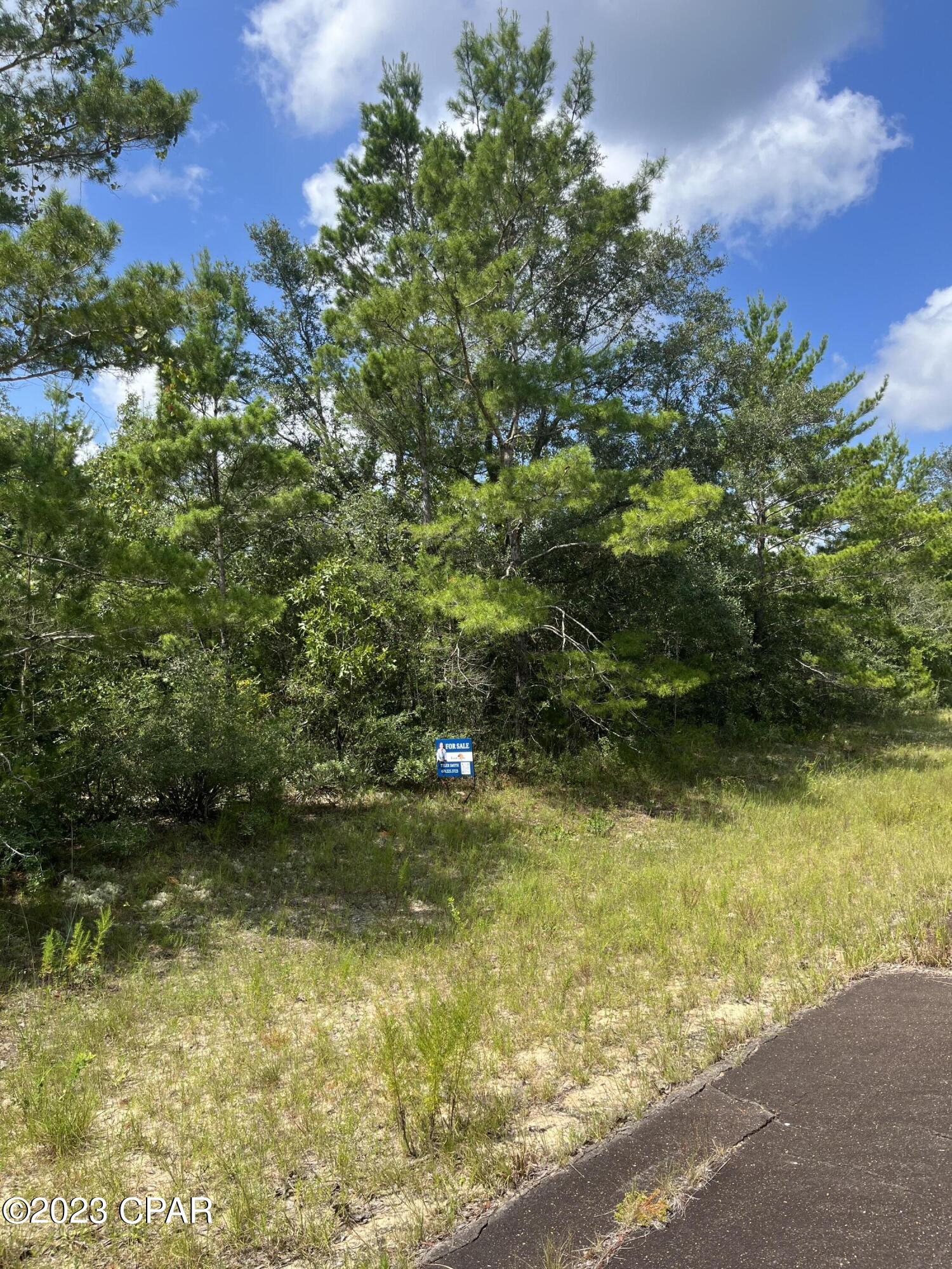 Photo of Lot 15 Curry Chipley FL 32428