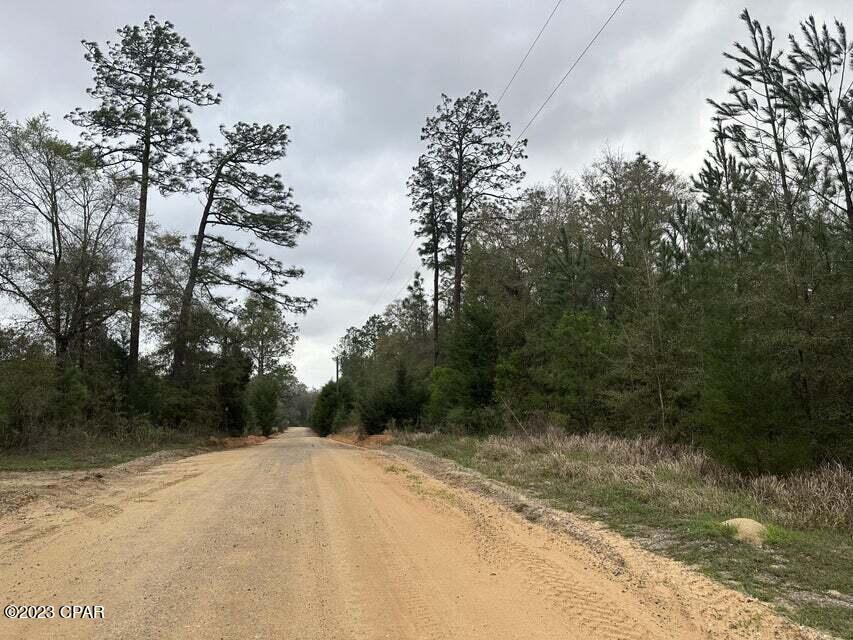 Tract#6418 SW Mattox Springs Road, Caryville, FL 32427