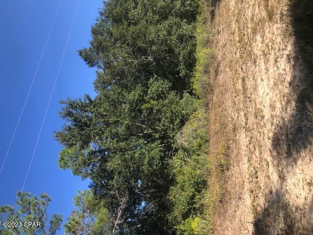 Photo of 0 Fairview Alford FL 32420