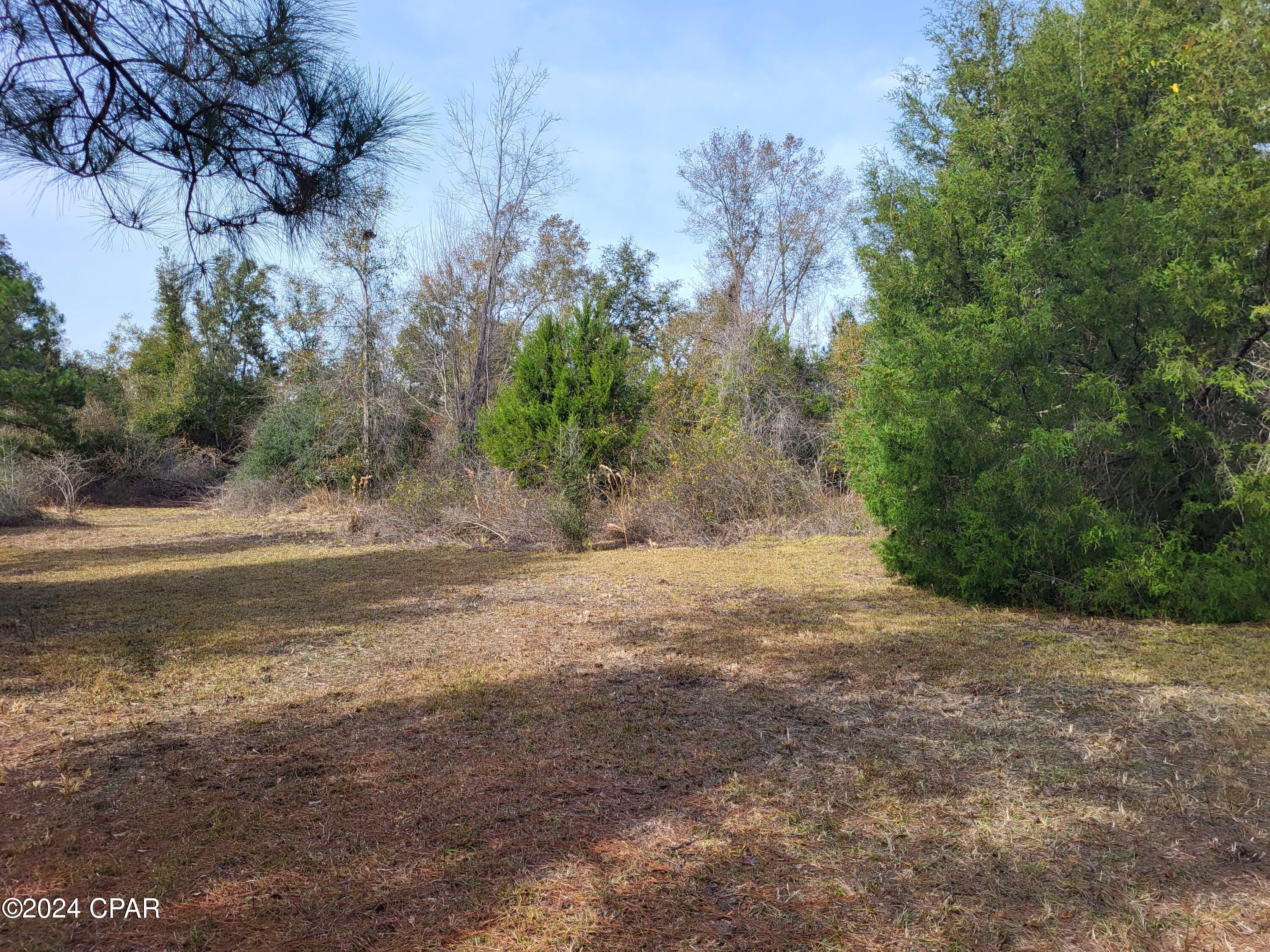 00 White Pond Circle Lot 11, Altha, FL 32421