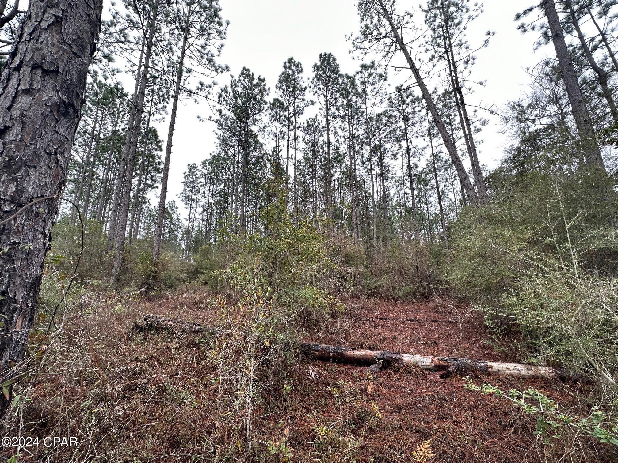 Tract 6418 S Mattox Springs Road 1, Caryville, FL 32427