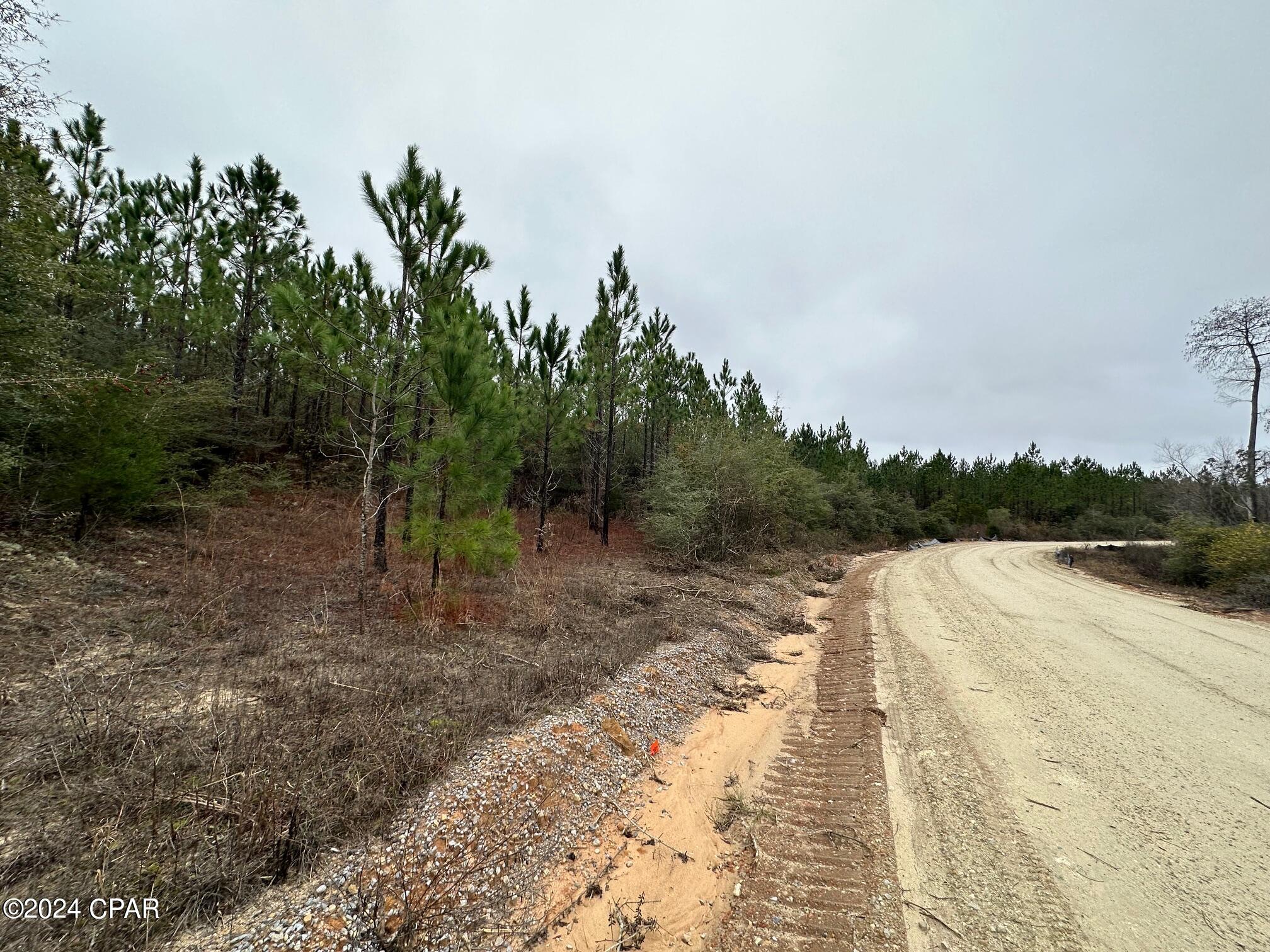 Tract 6418 N Mattox Springs Road 5, Caryville, FL 32427