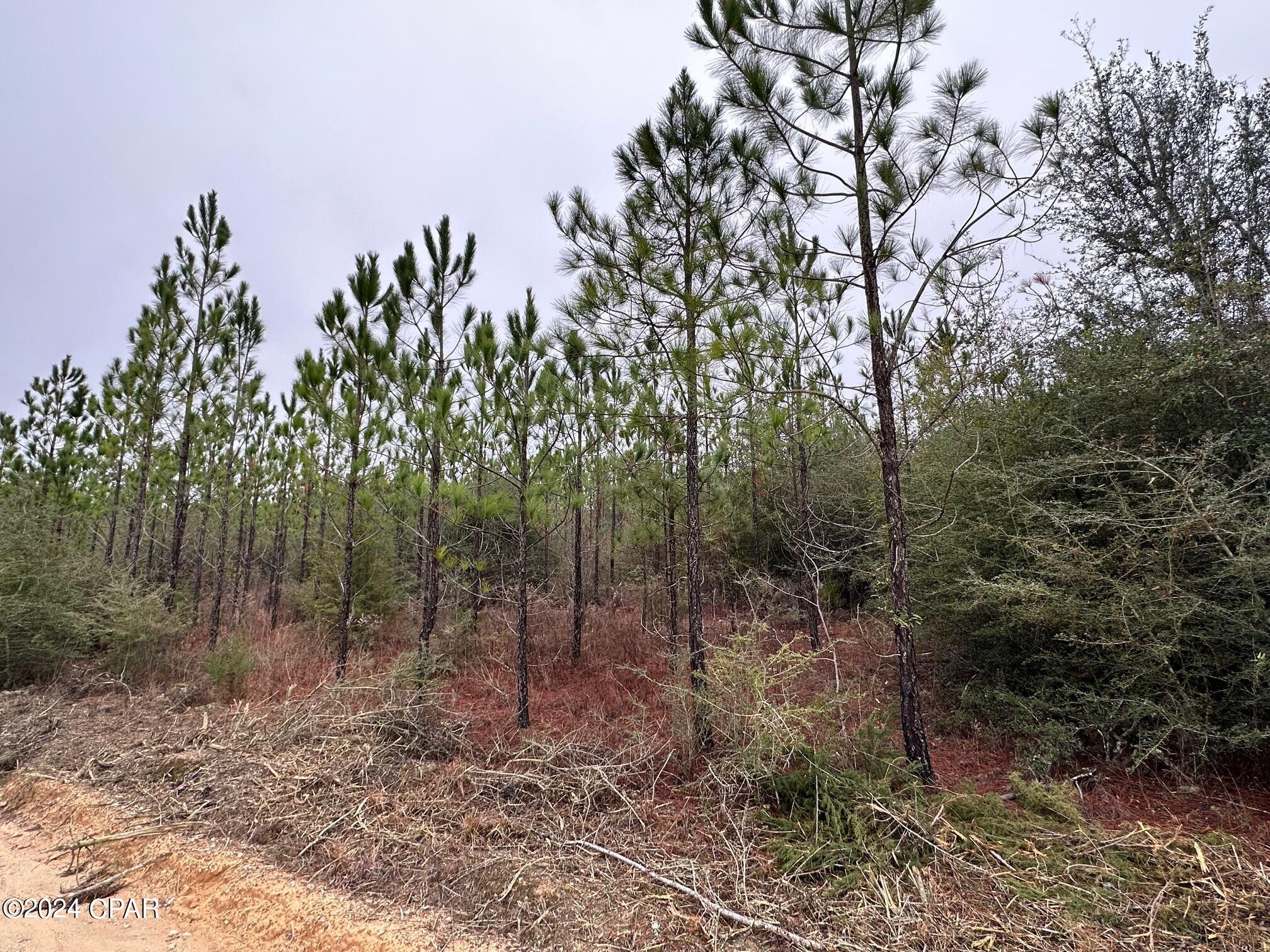 Tract 6418 S Mattox Springs Road 4, Caryville, FL 32427