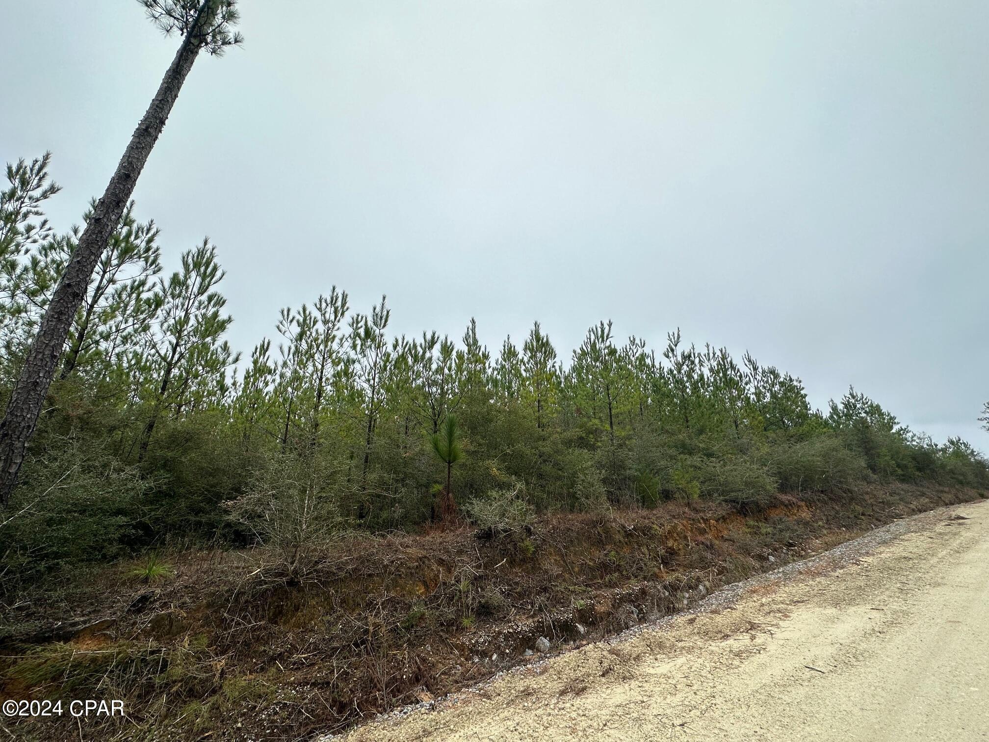 Tract 6418 N Mattox Springs Road 1, Caryville, FL 32427