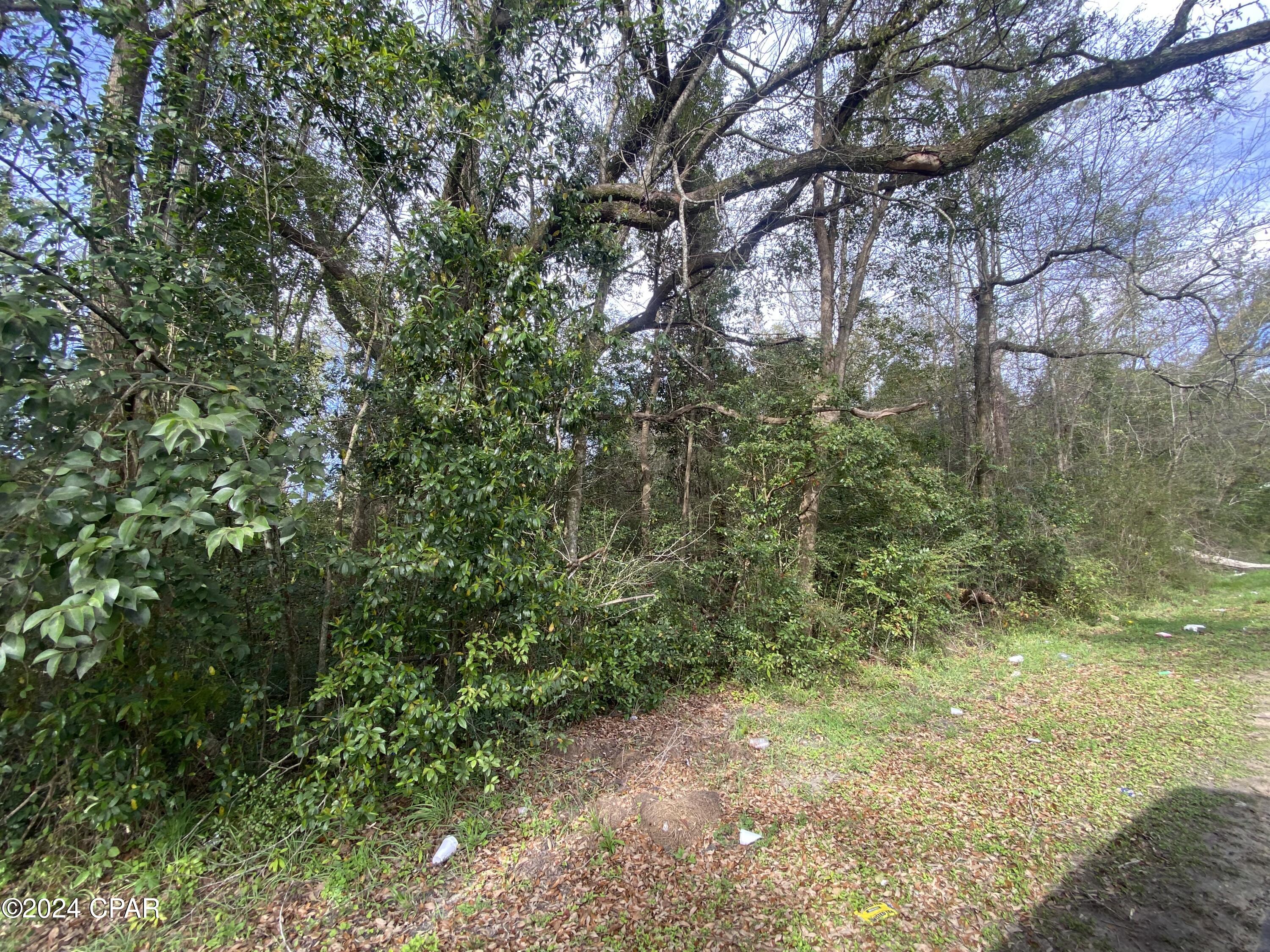 Photo of 0 Old Cottondale Marianna FL 32448