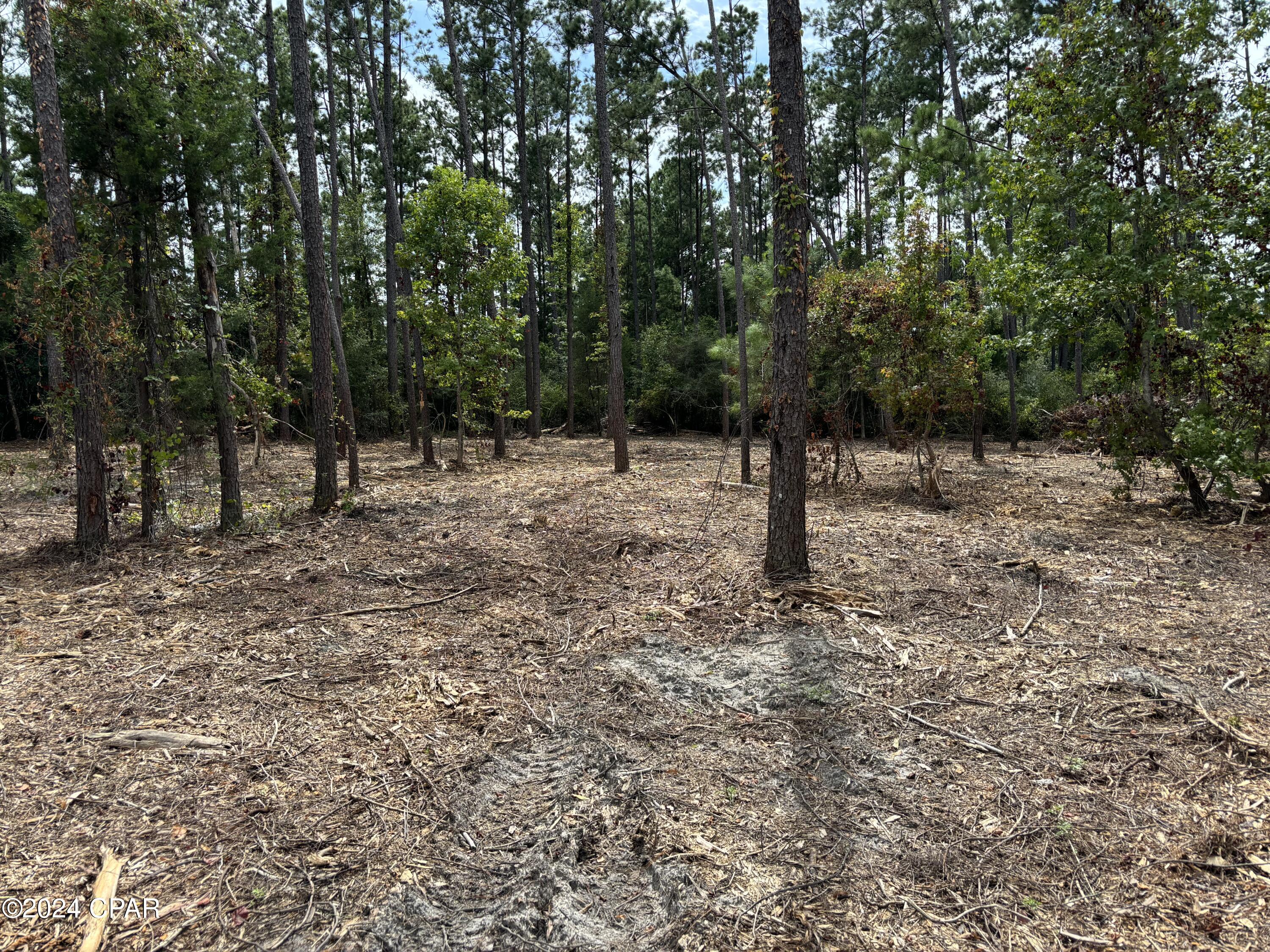 Photo of TBD Northwood Marianna FL 32448