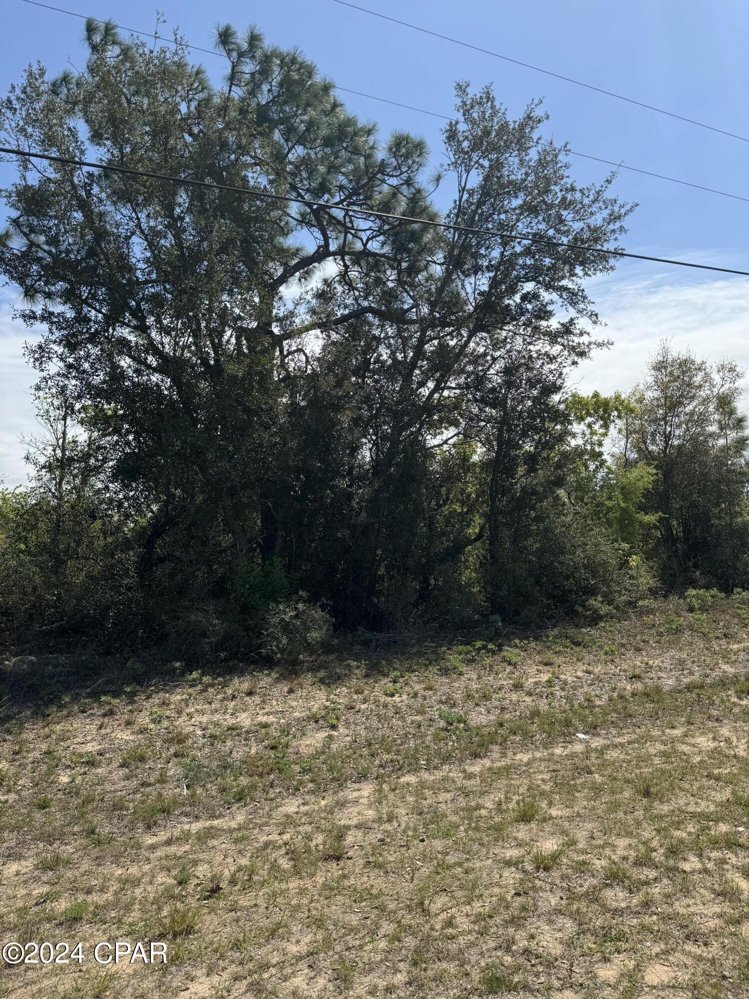 Photo of Lot  28 Hampshire Chipley FL 32428