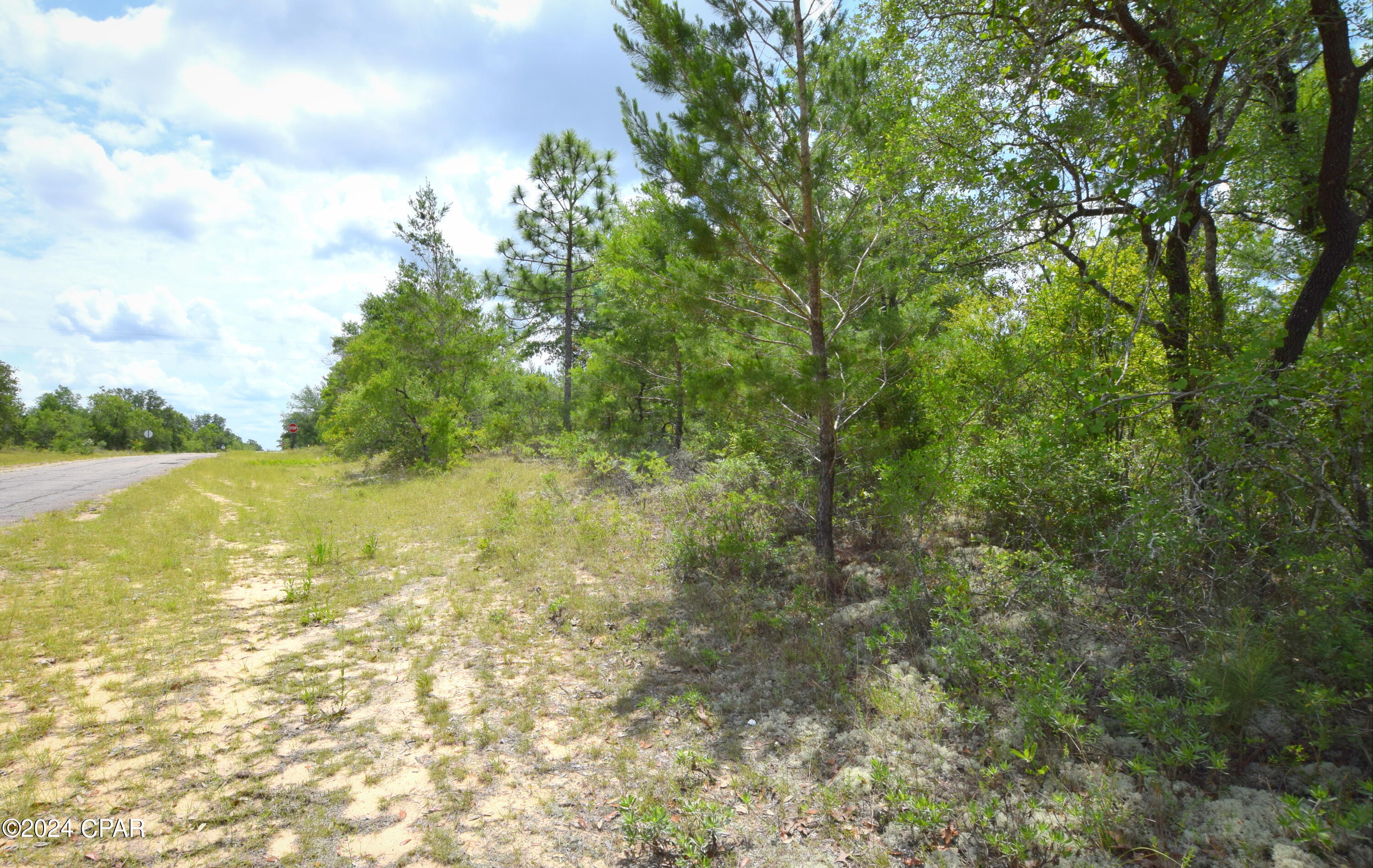 Photo of TBD Lot 37 Bluestone Chipley FL 32428