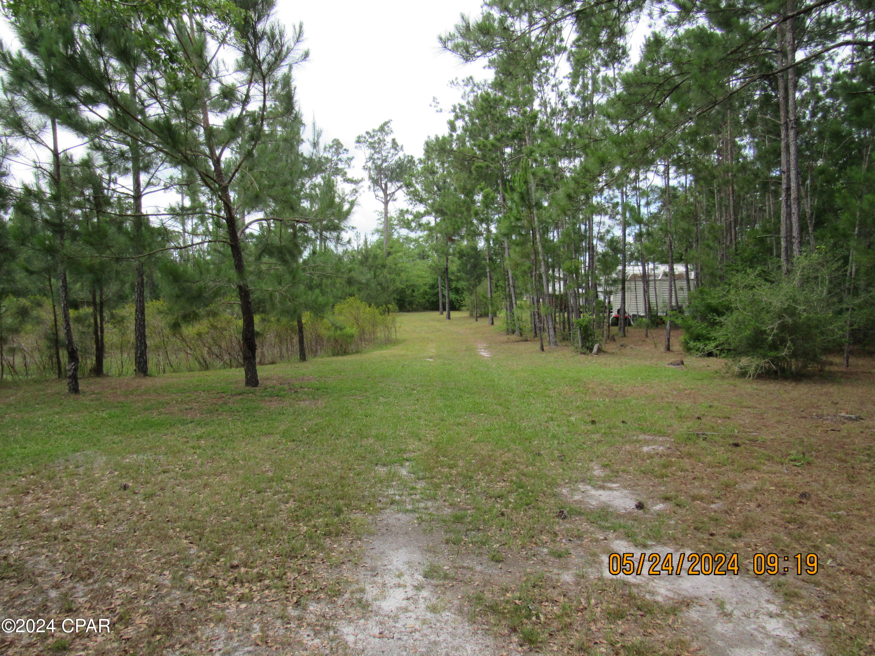 Photo of 2963 County Road 274 Altha FL 32421