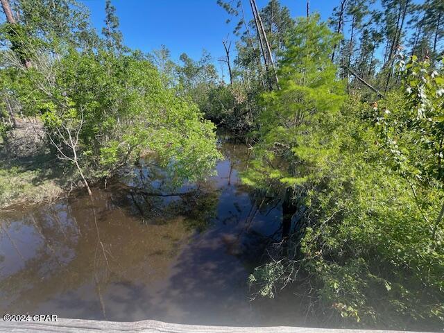 Photo of TBD CR 386 N Wewahitchka FL 32465