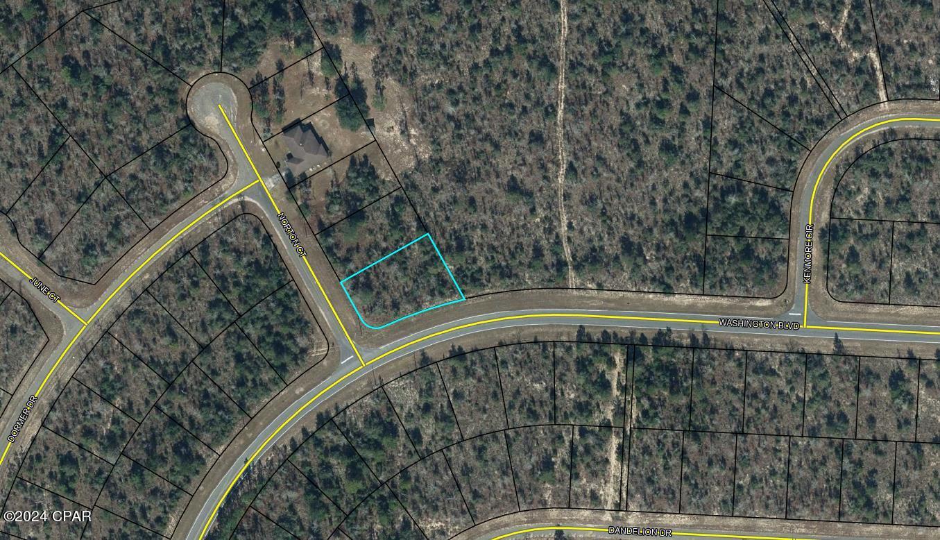 Photo of Lot 17 Norton Chipley FL 32428