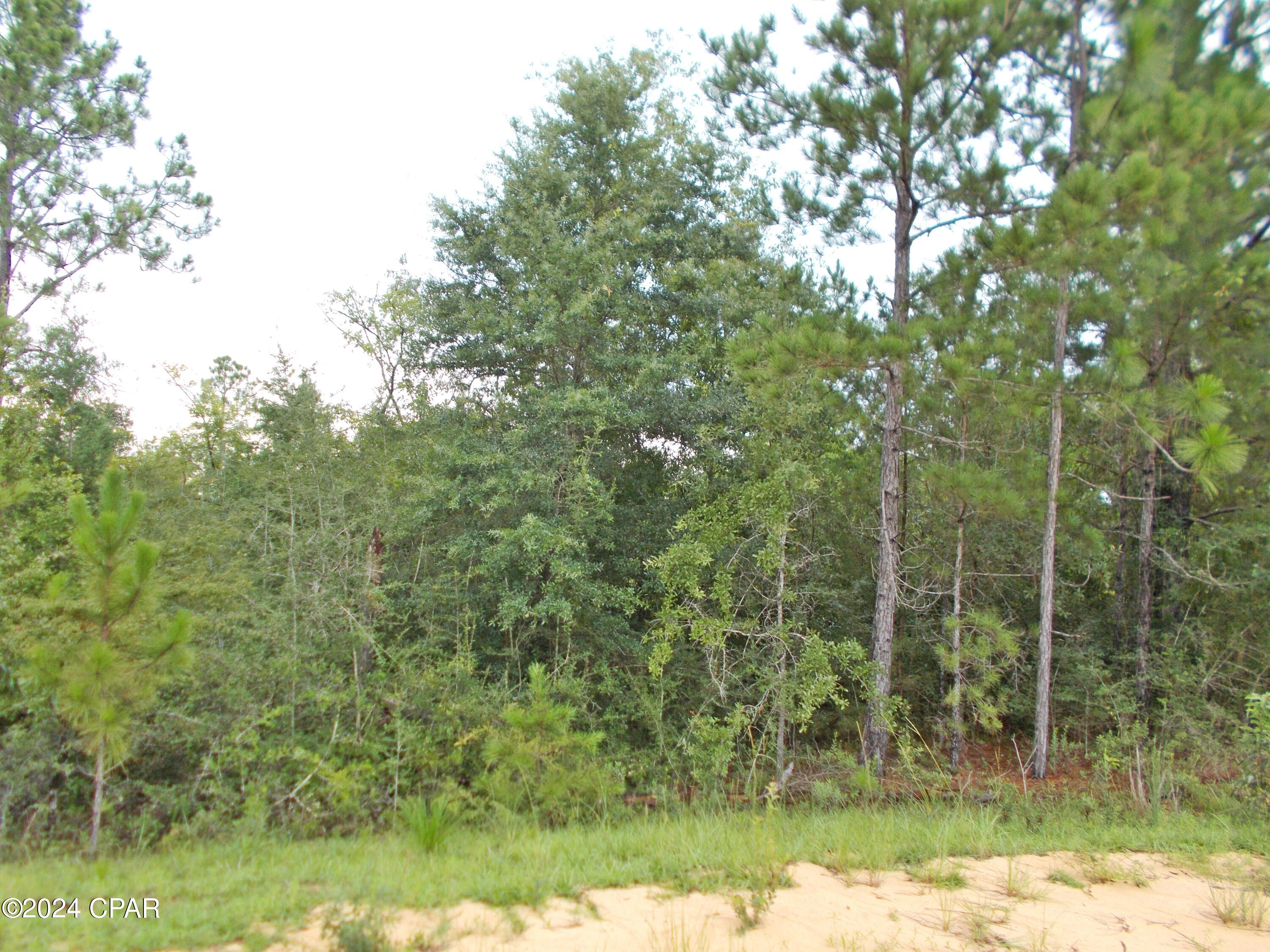 Photo of Lot 20 Starling Marianna FL 32448