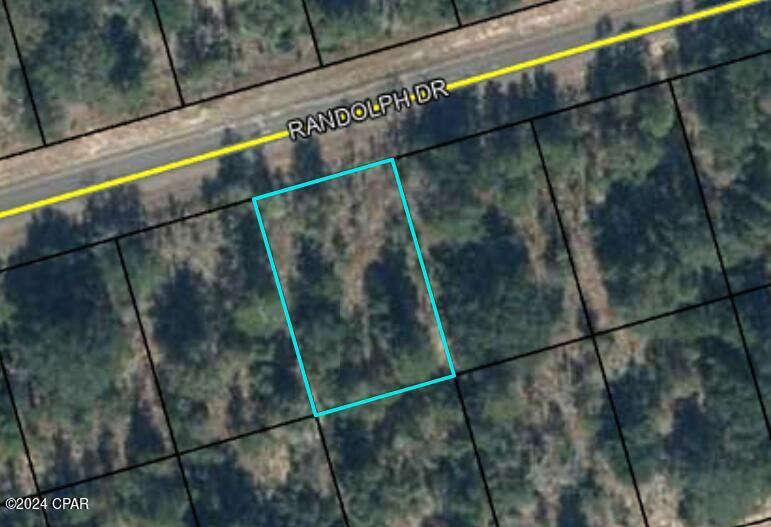 Photo of Lot 4 Randolph Chipley FL 32428