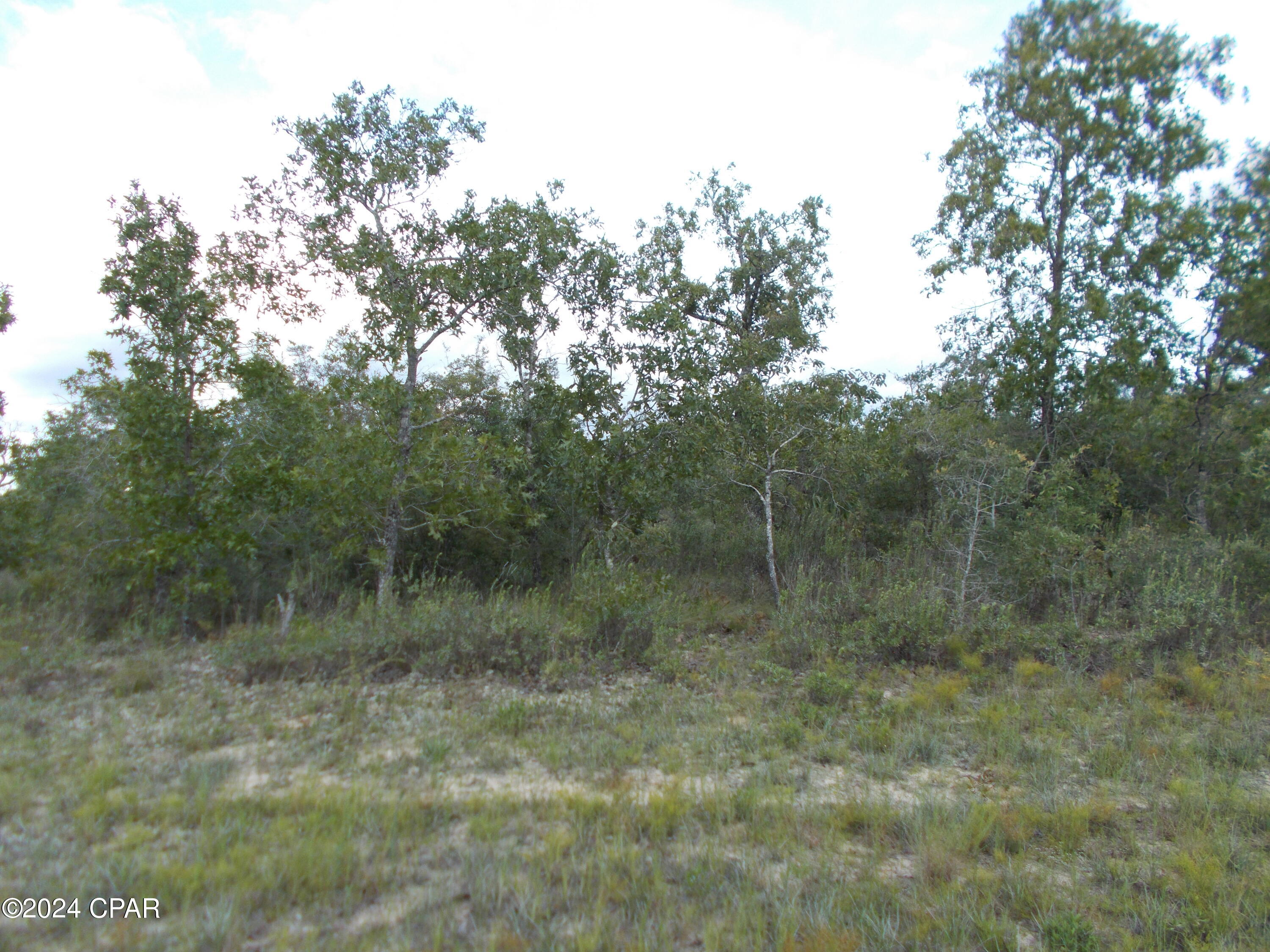 Photo of Lot 3 Alhambra Chipley FL 32428